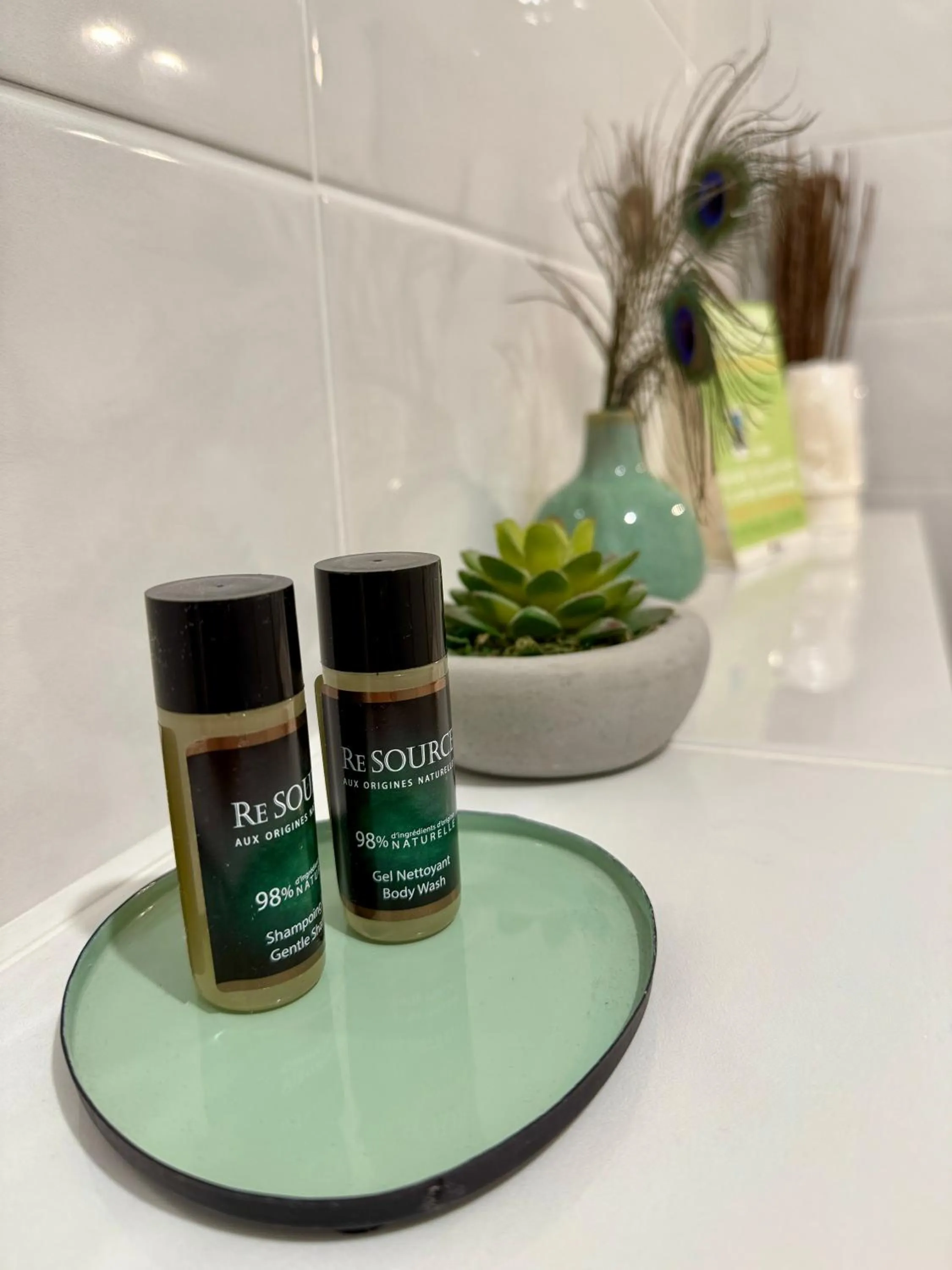 Shower in Chambres d'hôtes Grange Debout