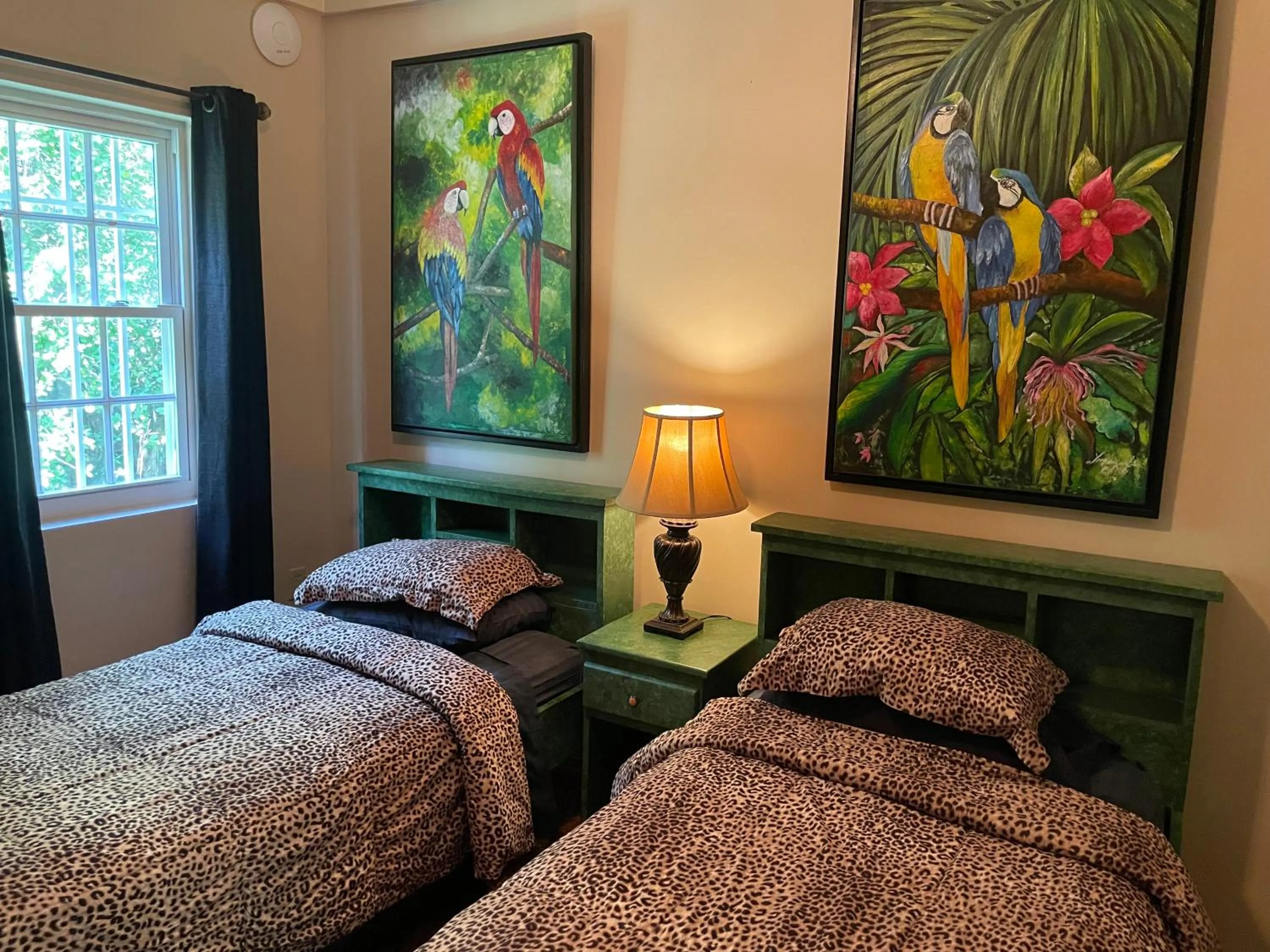 Bed in Belize Budget Suites