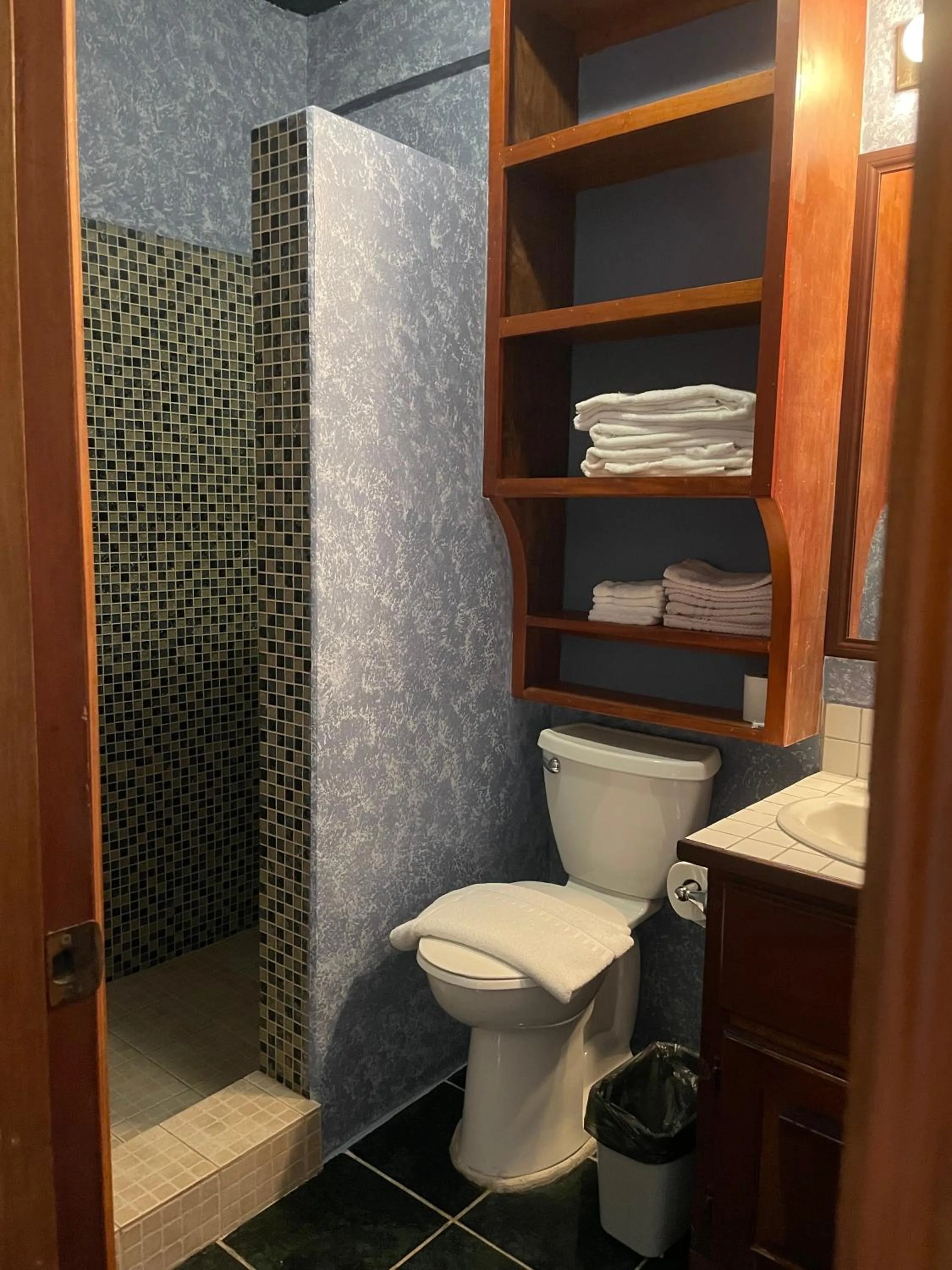 Shower in Belize Budget Suites