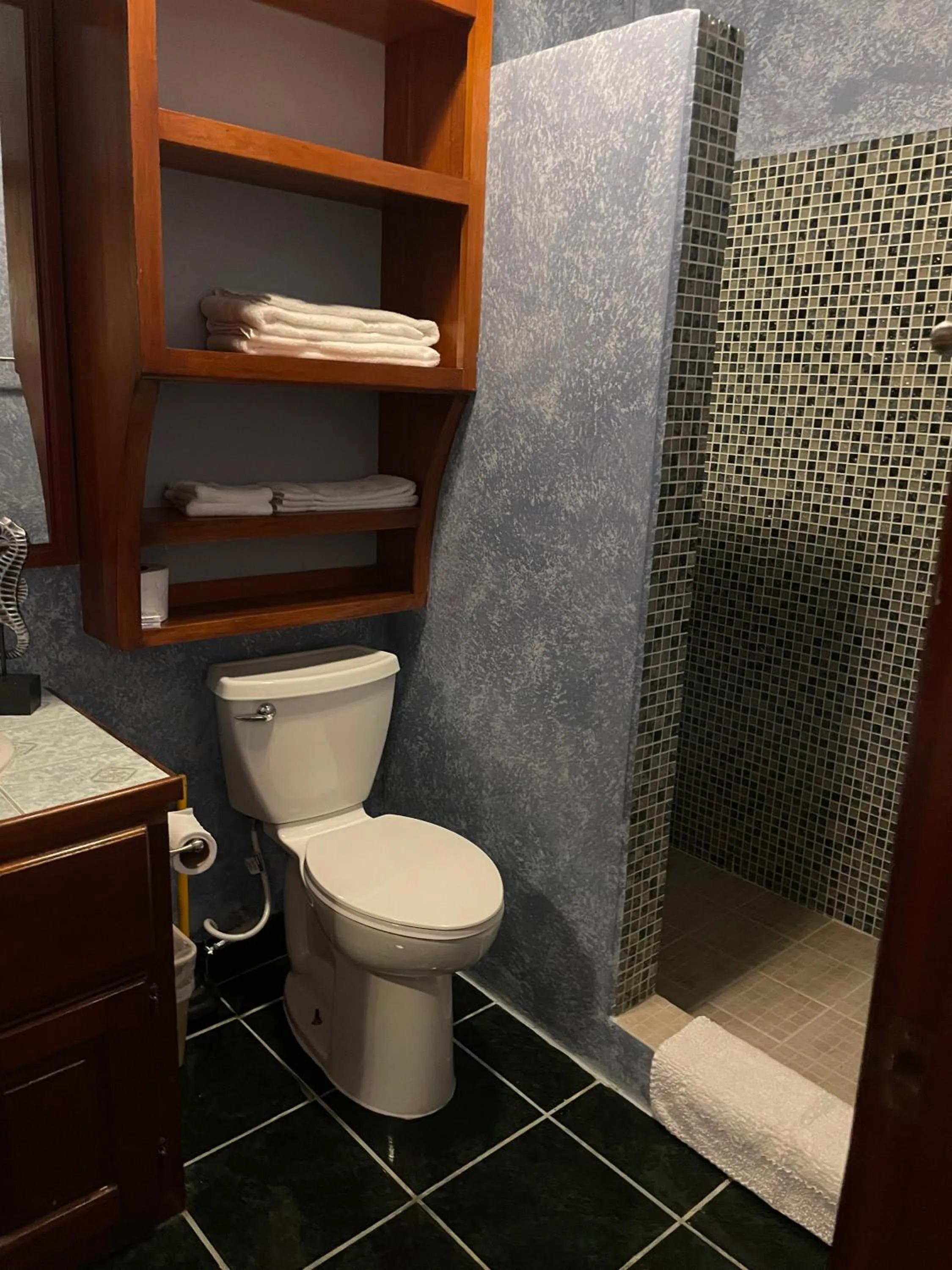 Bathroom in Belize Budget Suites