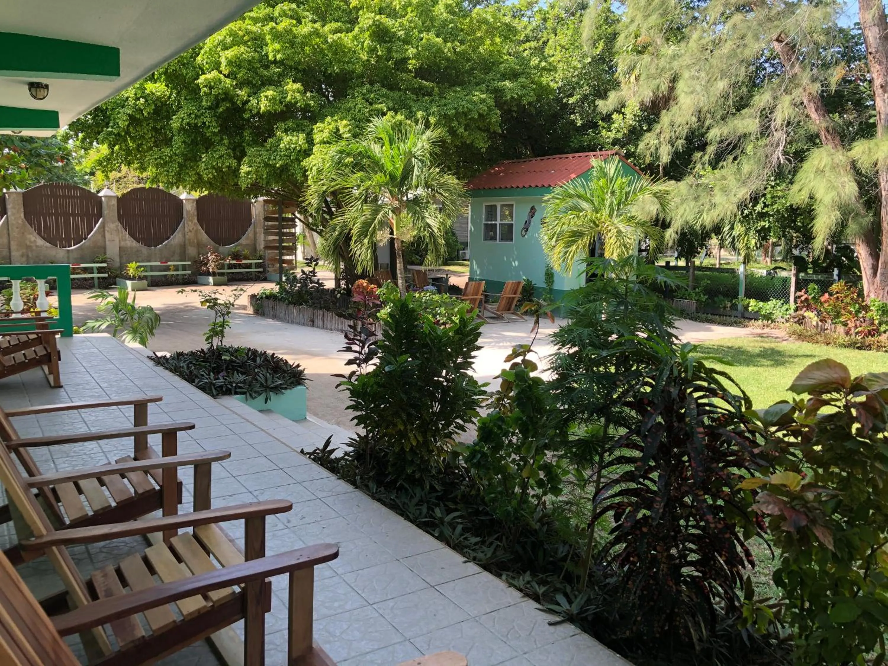 Garden view in Belize Budget Suites