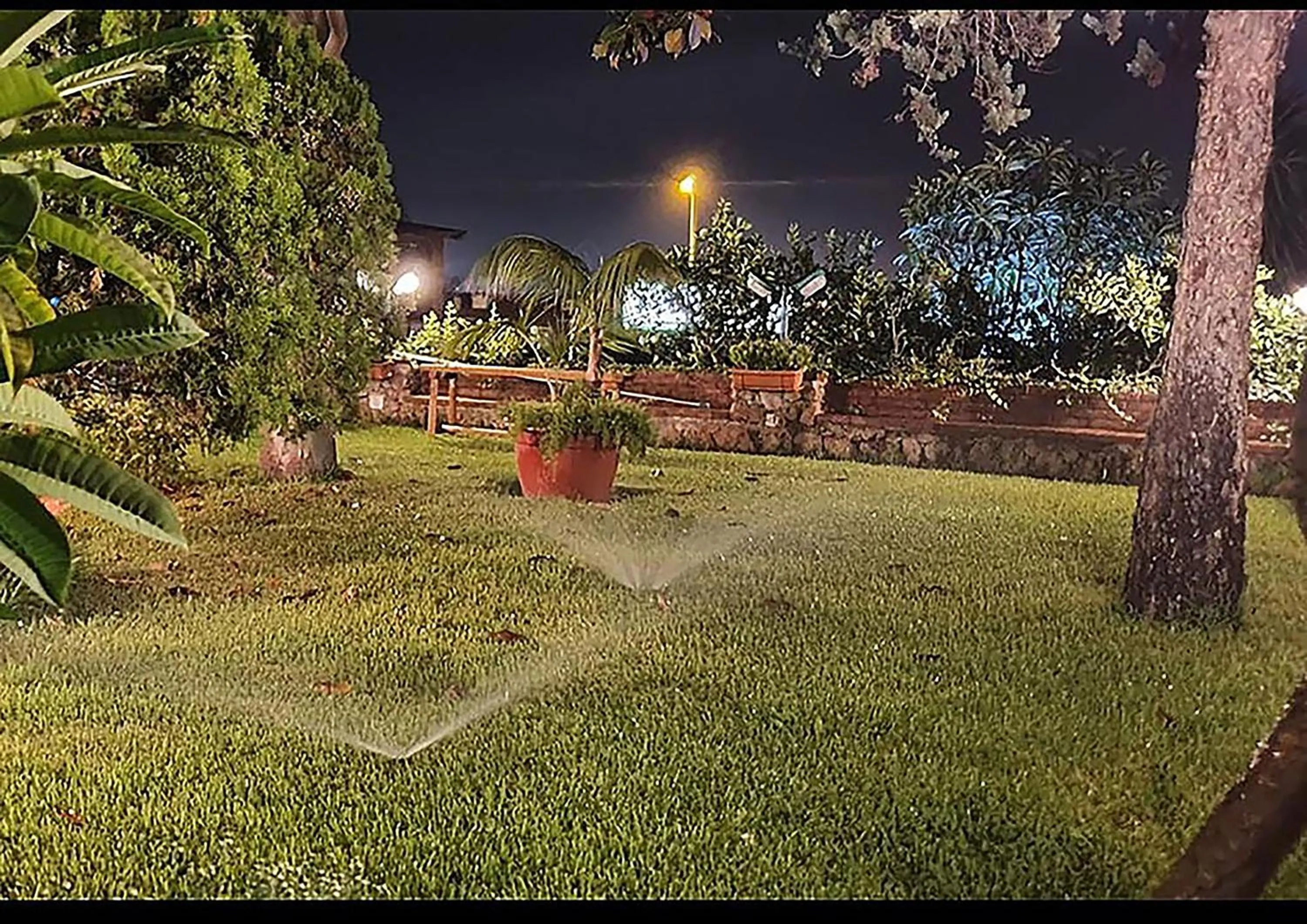 Garden view in Small Paradise Palermo