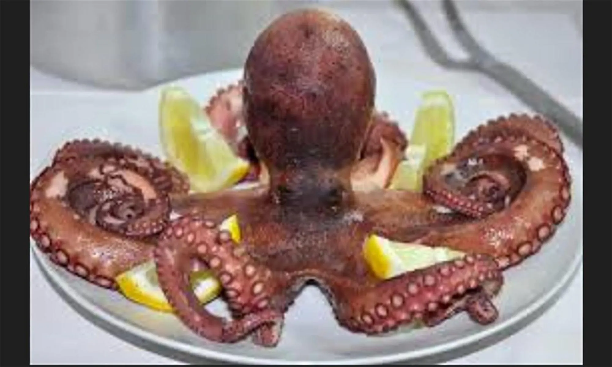 Food in Small Paradise Palermo