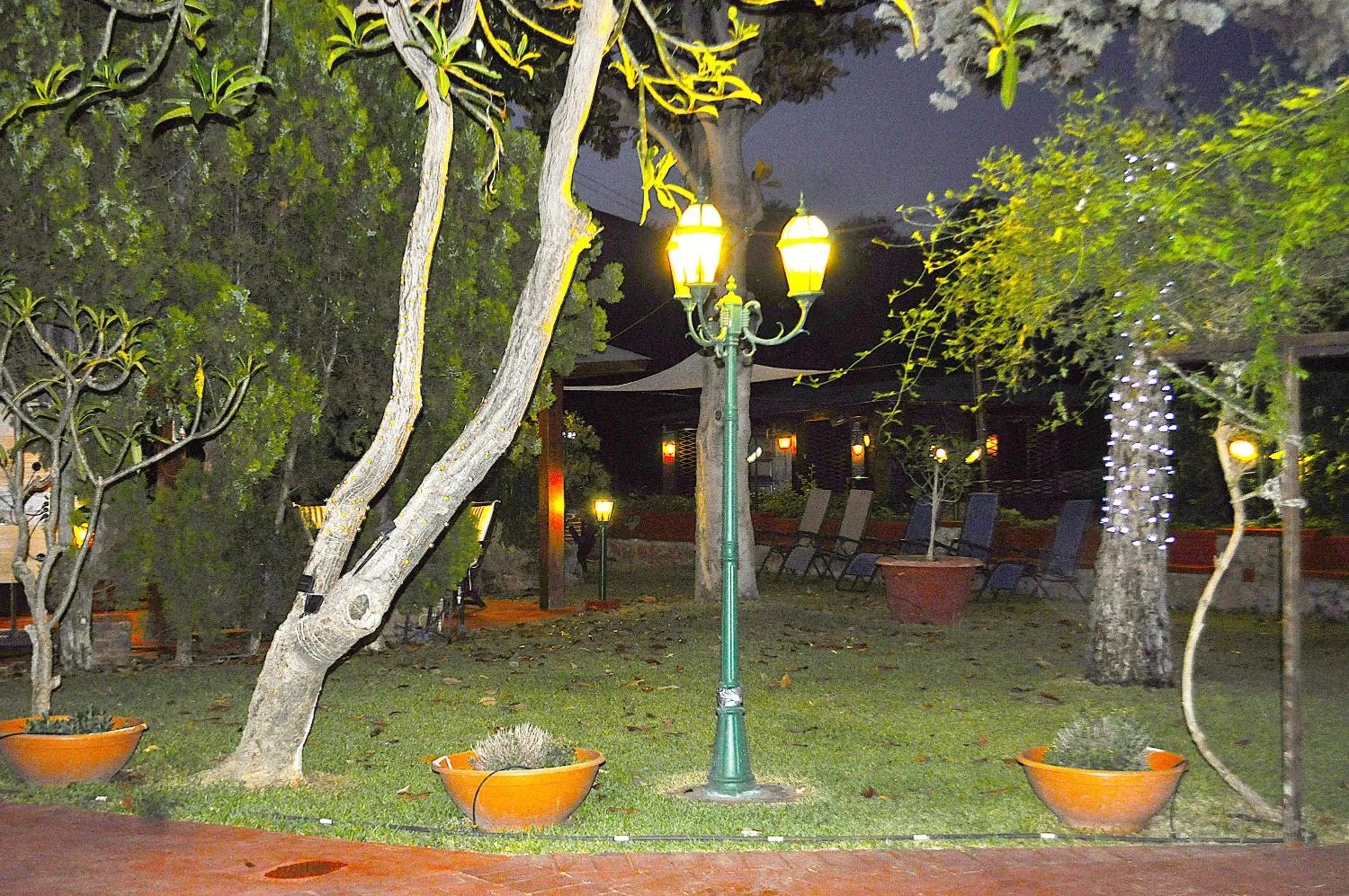 Garden view in Small Paradise Palermo