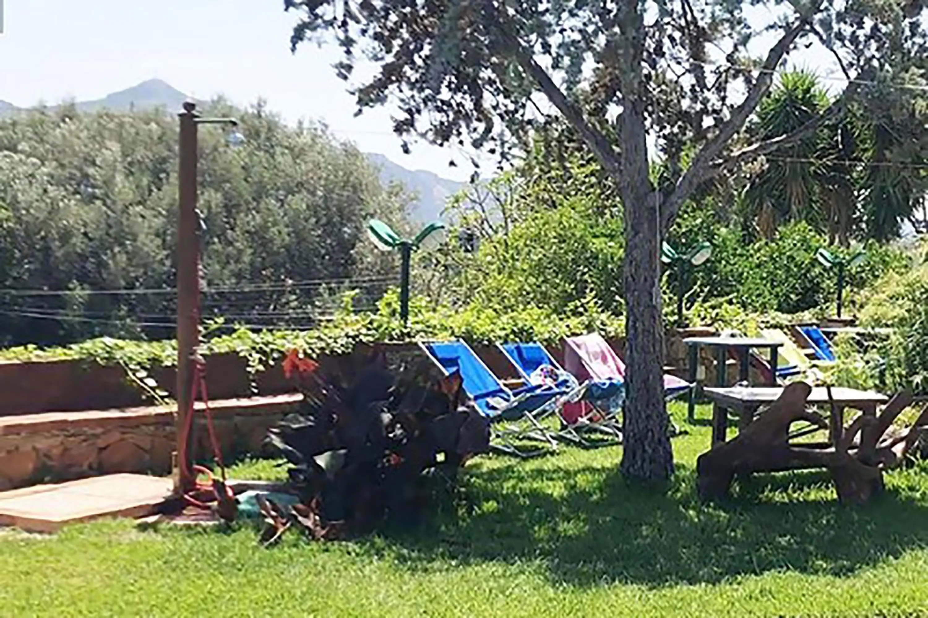 Garden view in Small Paradise Palermo