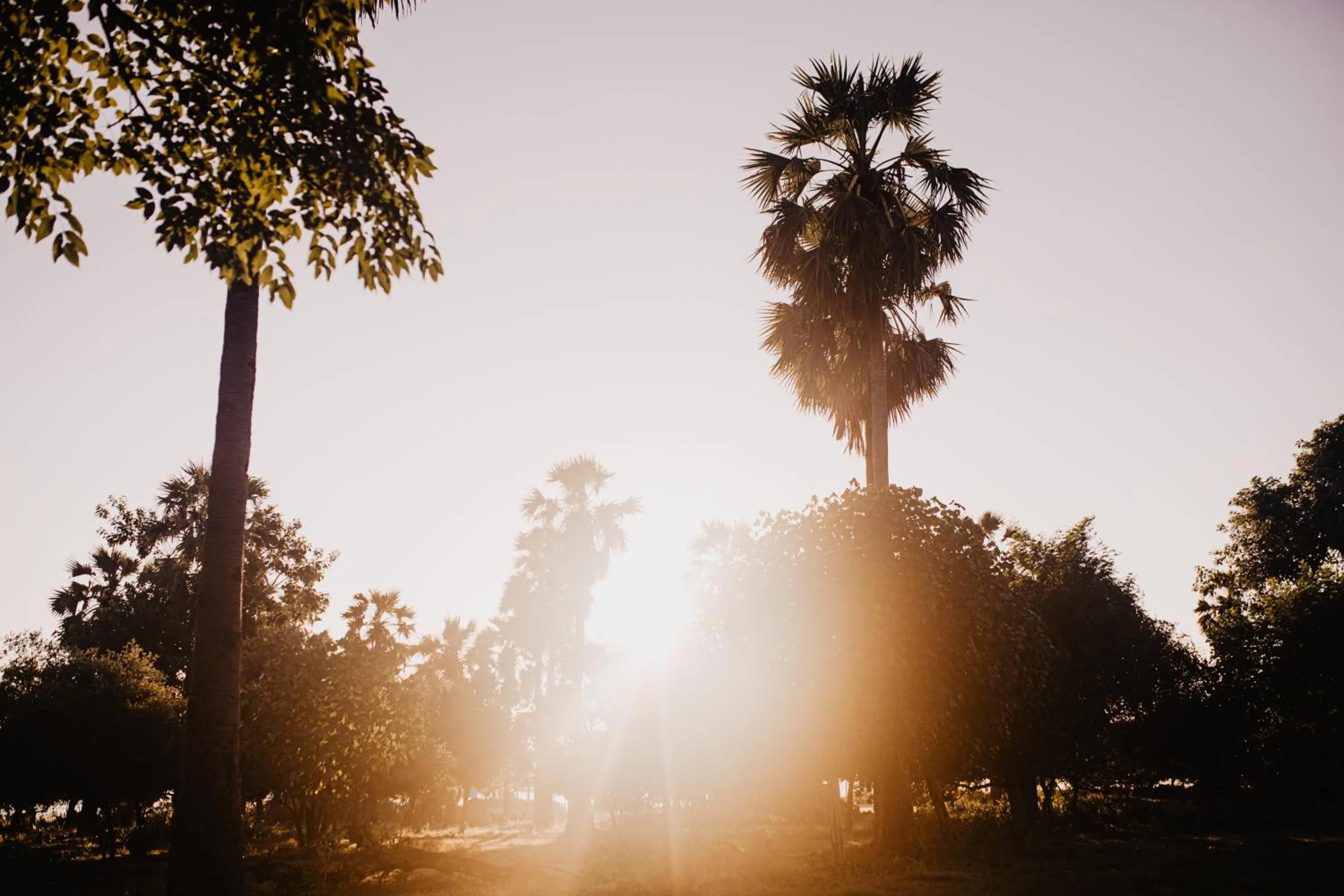 Natural landscape in Kalyssa Beach Bungalows