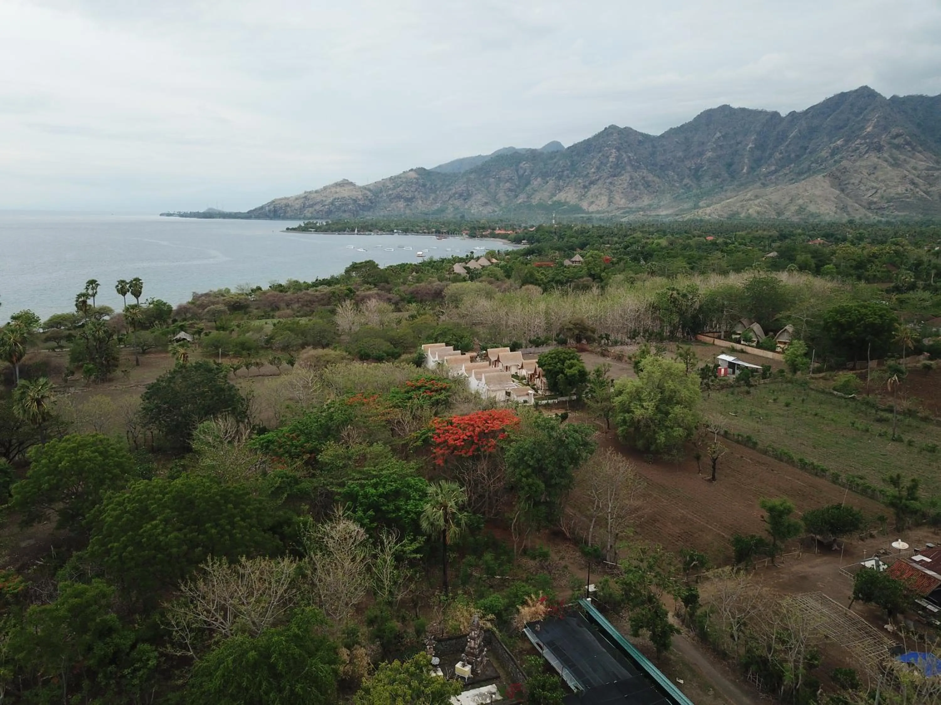 Natural landscape in Kalyssa Beach Bungalows