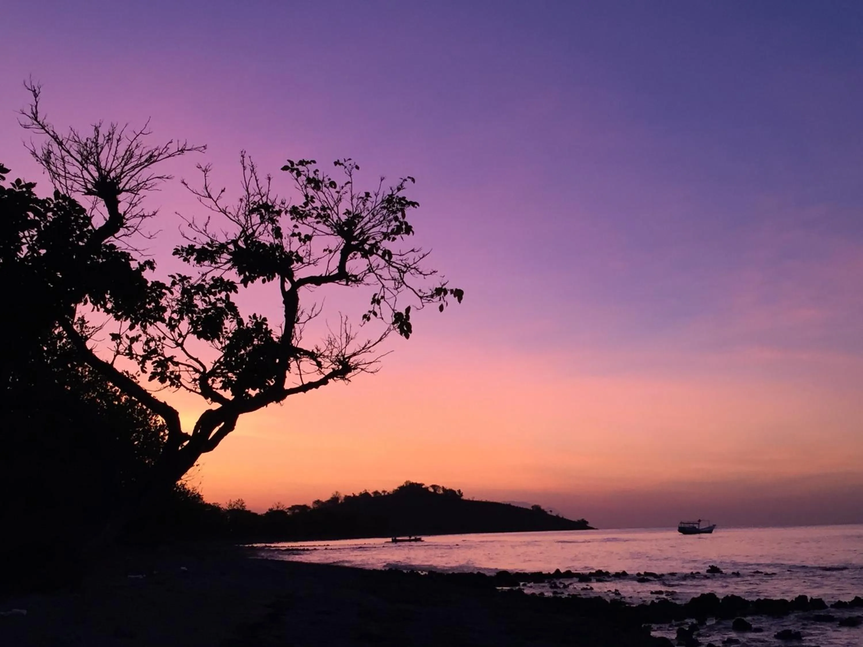 Natural landscape in Kalyssa Beach Bungalows