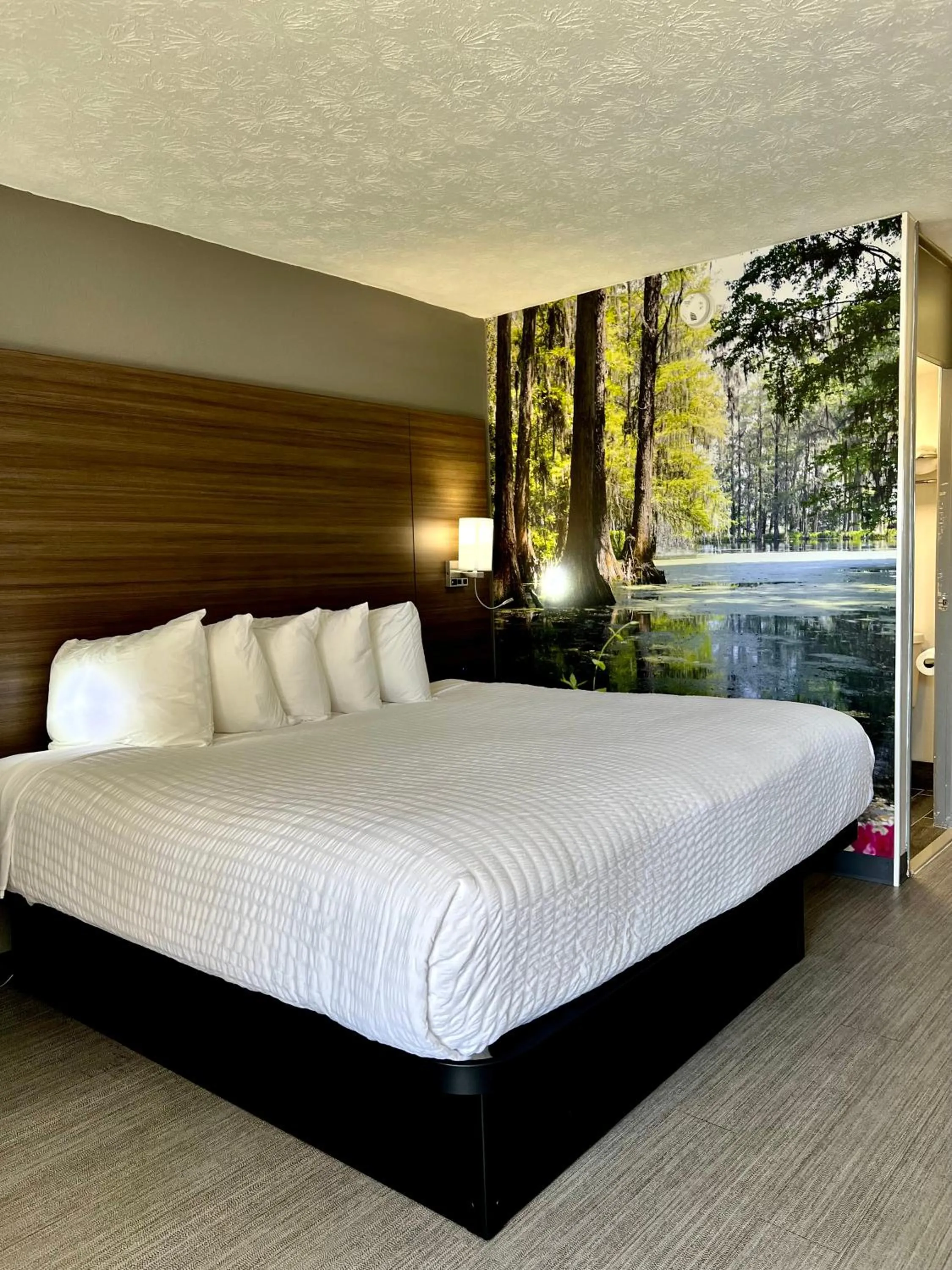 Bed in Best Western Southlake Inn