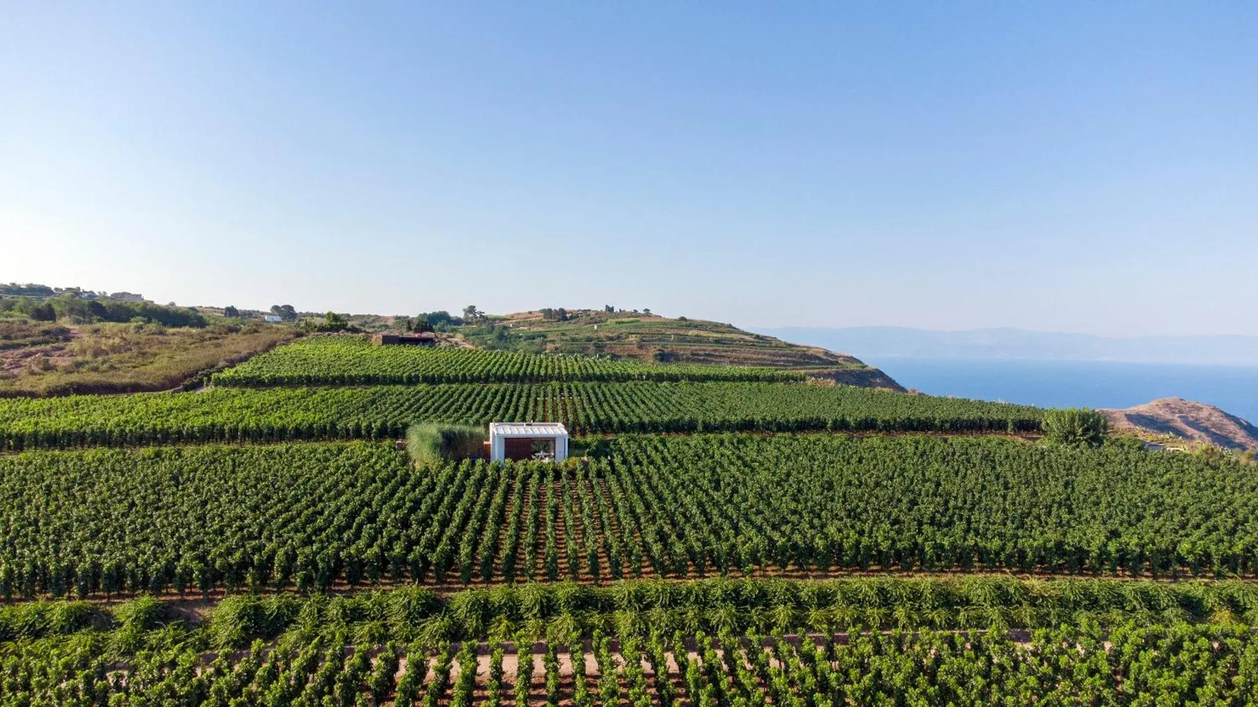 Tenuta di Castellaro Winery & Resort Tenuta di Castellaro Winery & Resort