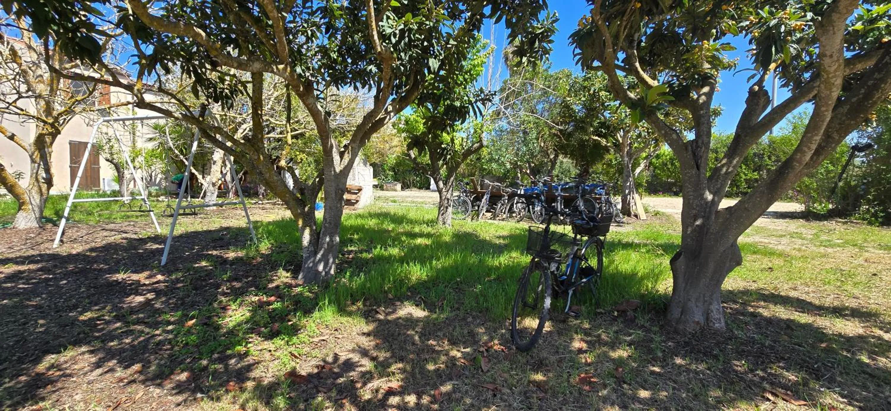 Spring in Alghero in bicicletta