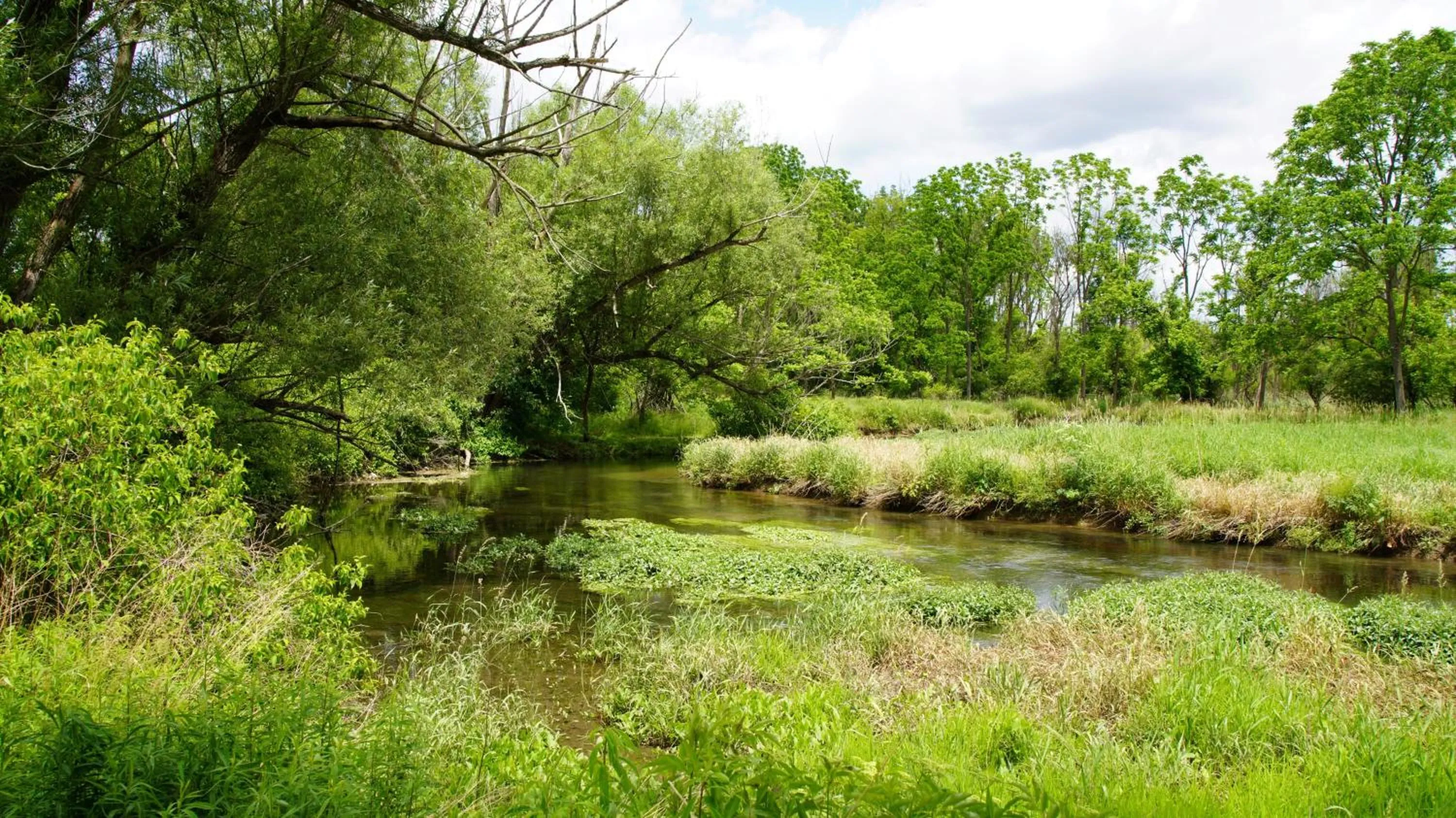 Natural landscape in Country Inn & Suites by Radisson, State College Penn State Area , PA