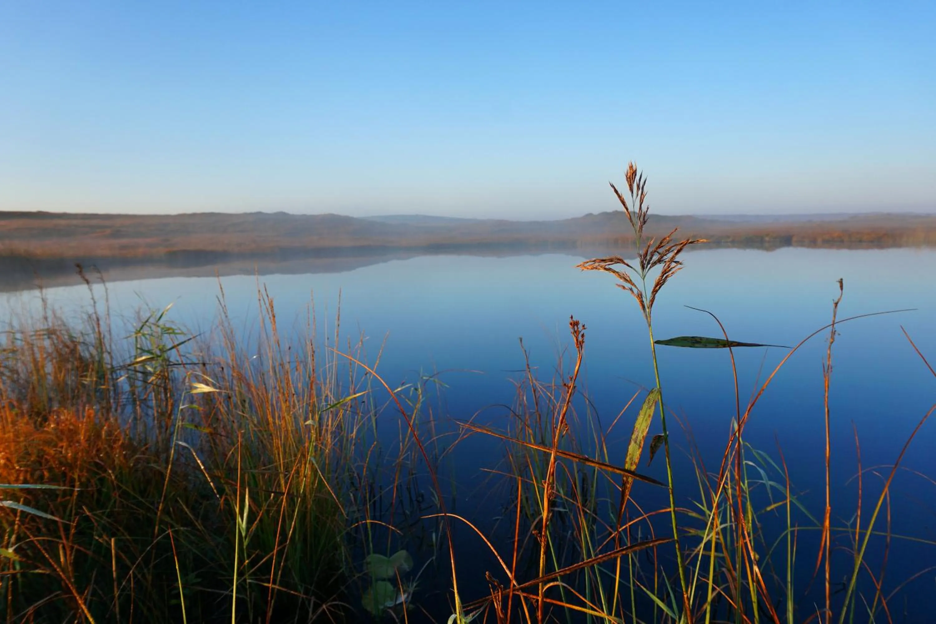 Property building in Fernwood