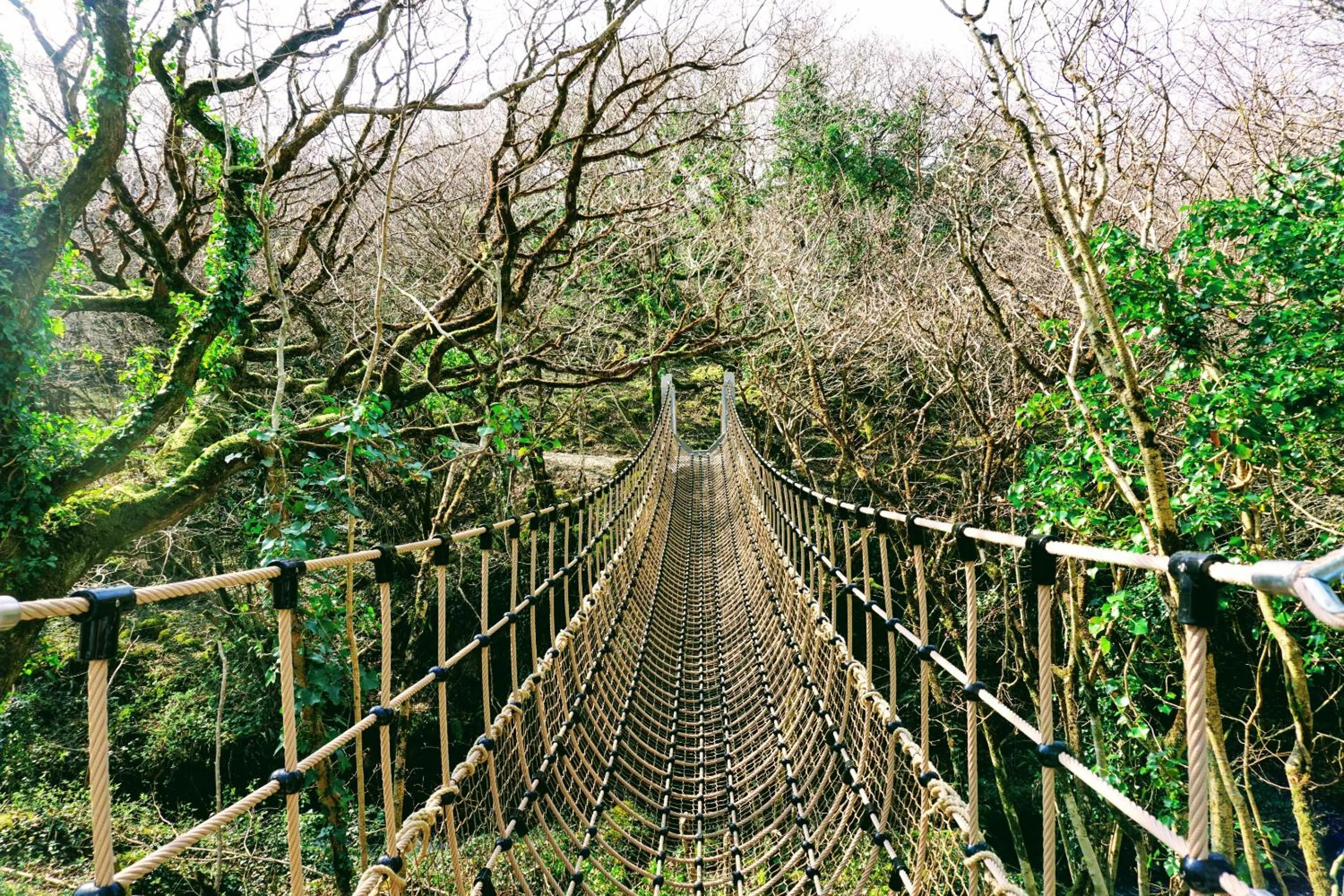 Natural landscape in Fernwood