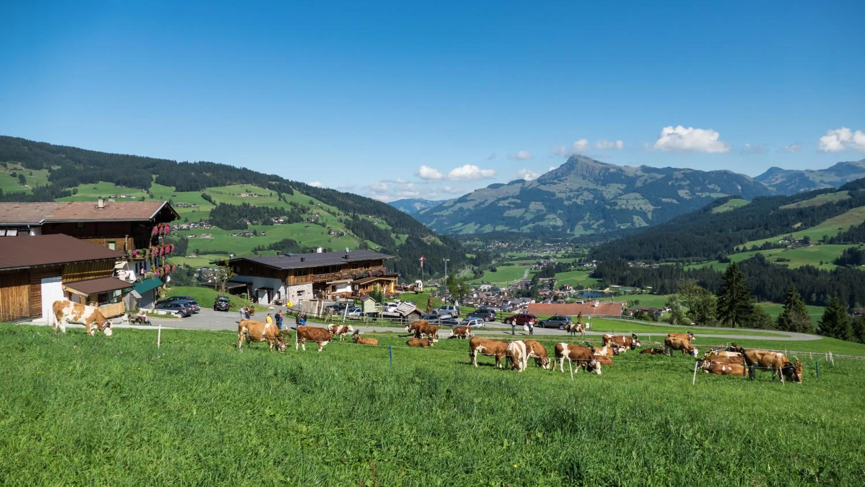 Gasthaus Obergaisberg