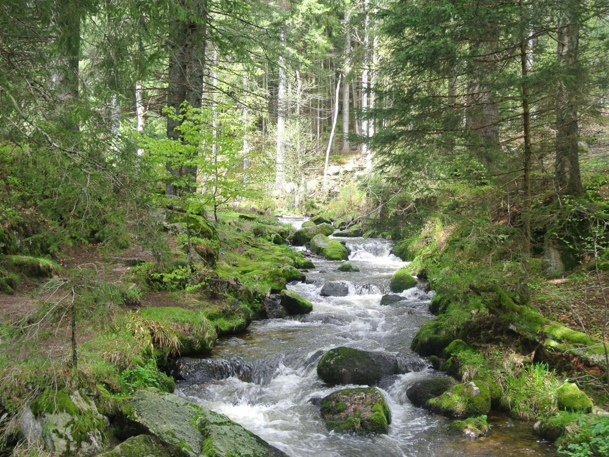Hiking in Hotel Großbach
