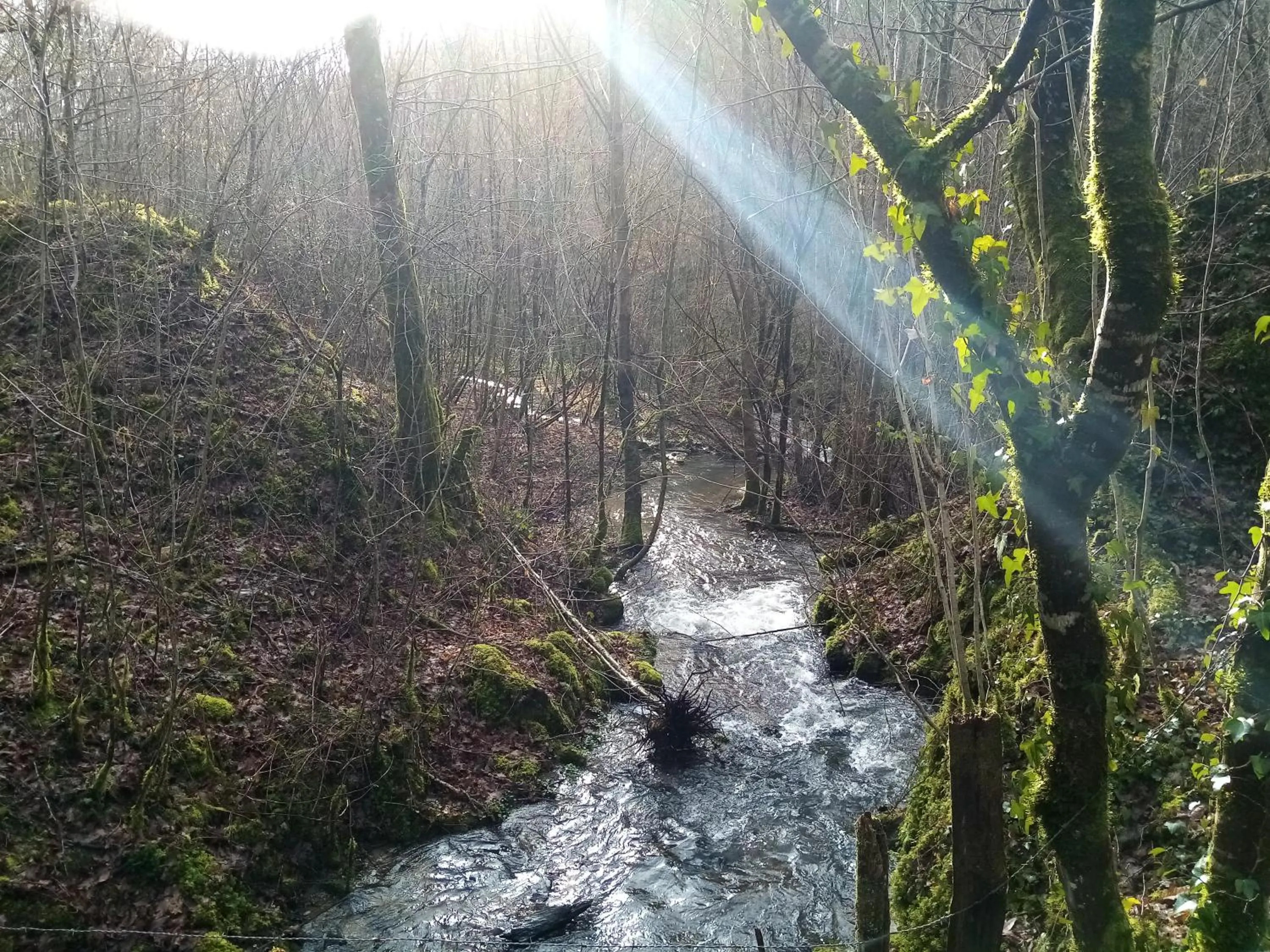 Natural landscape in Le Grand Guillaume maisonnette indépendante