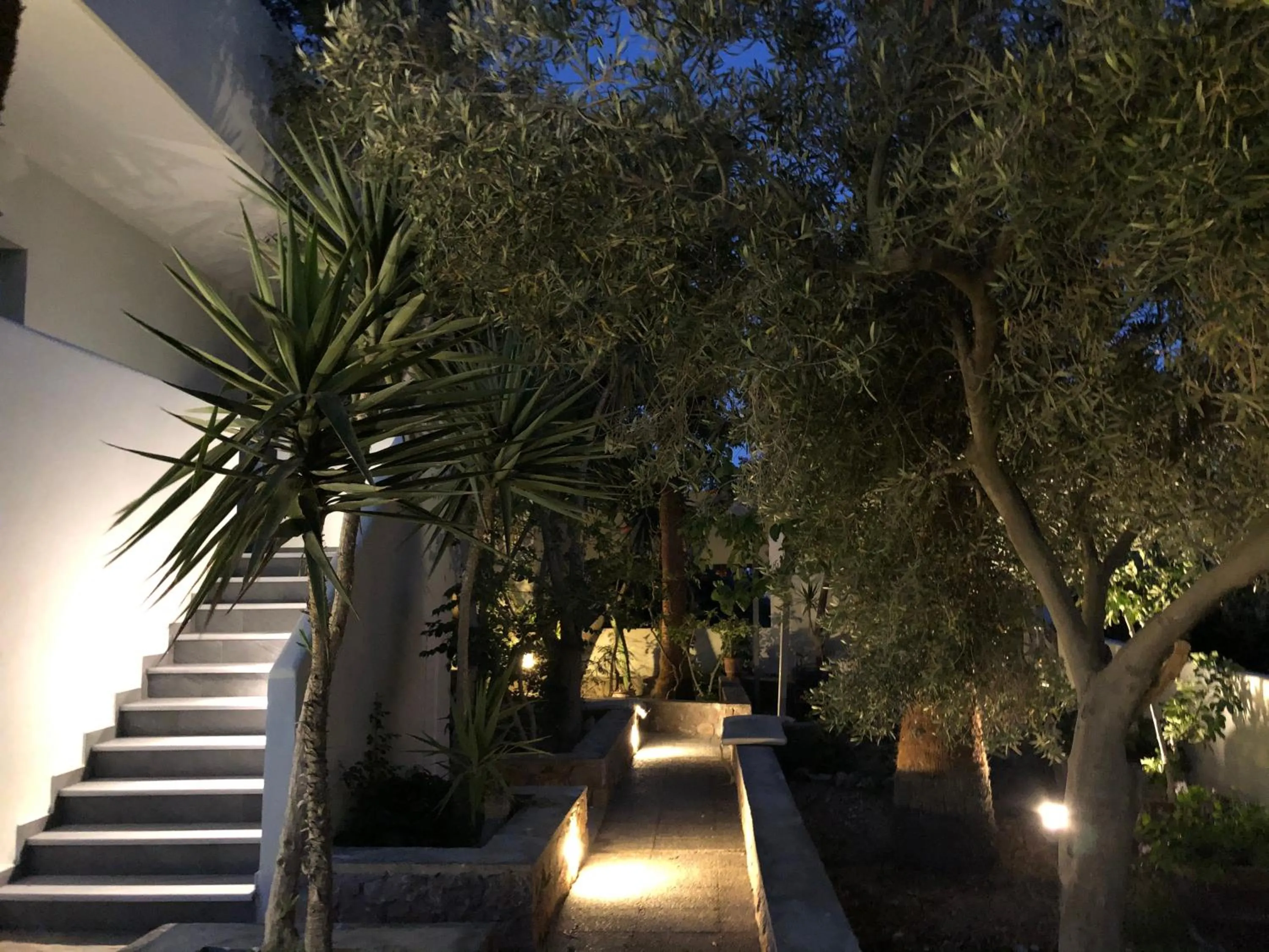 Garden in Dragonfly Villas