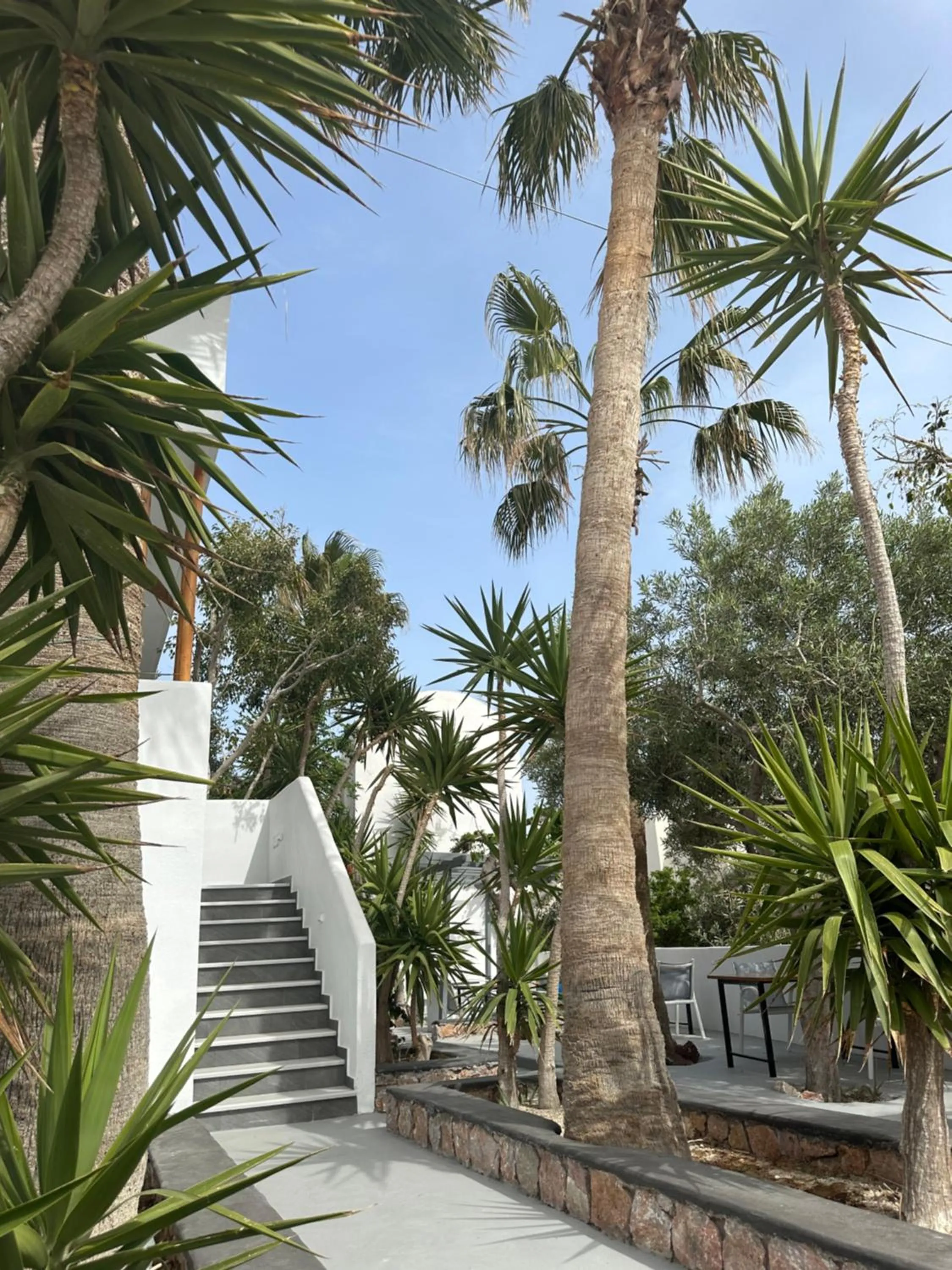 Garden view in Dragonfly Villas