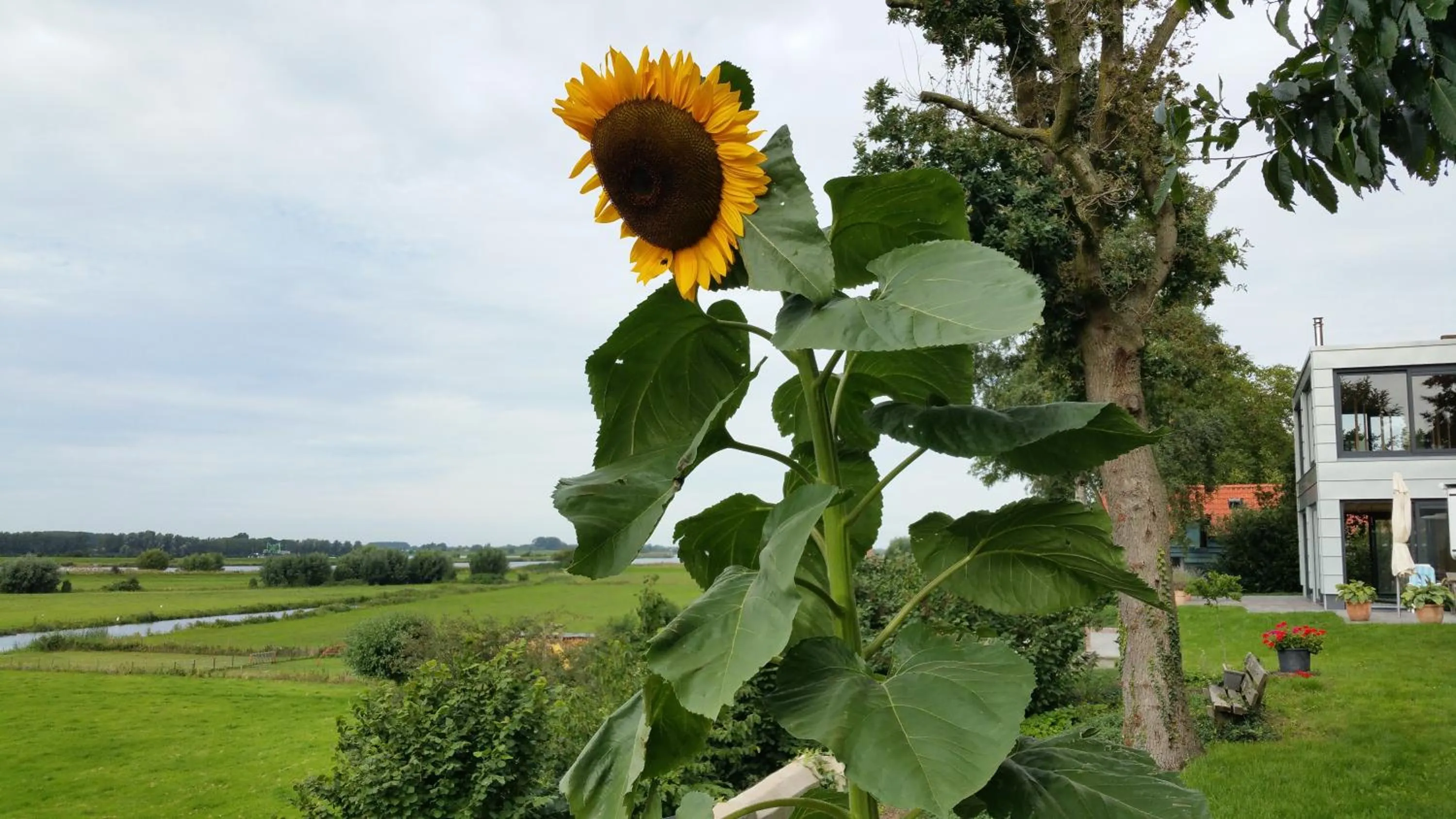 Garden view in B&B Weids