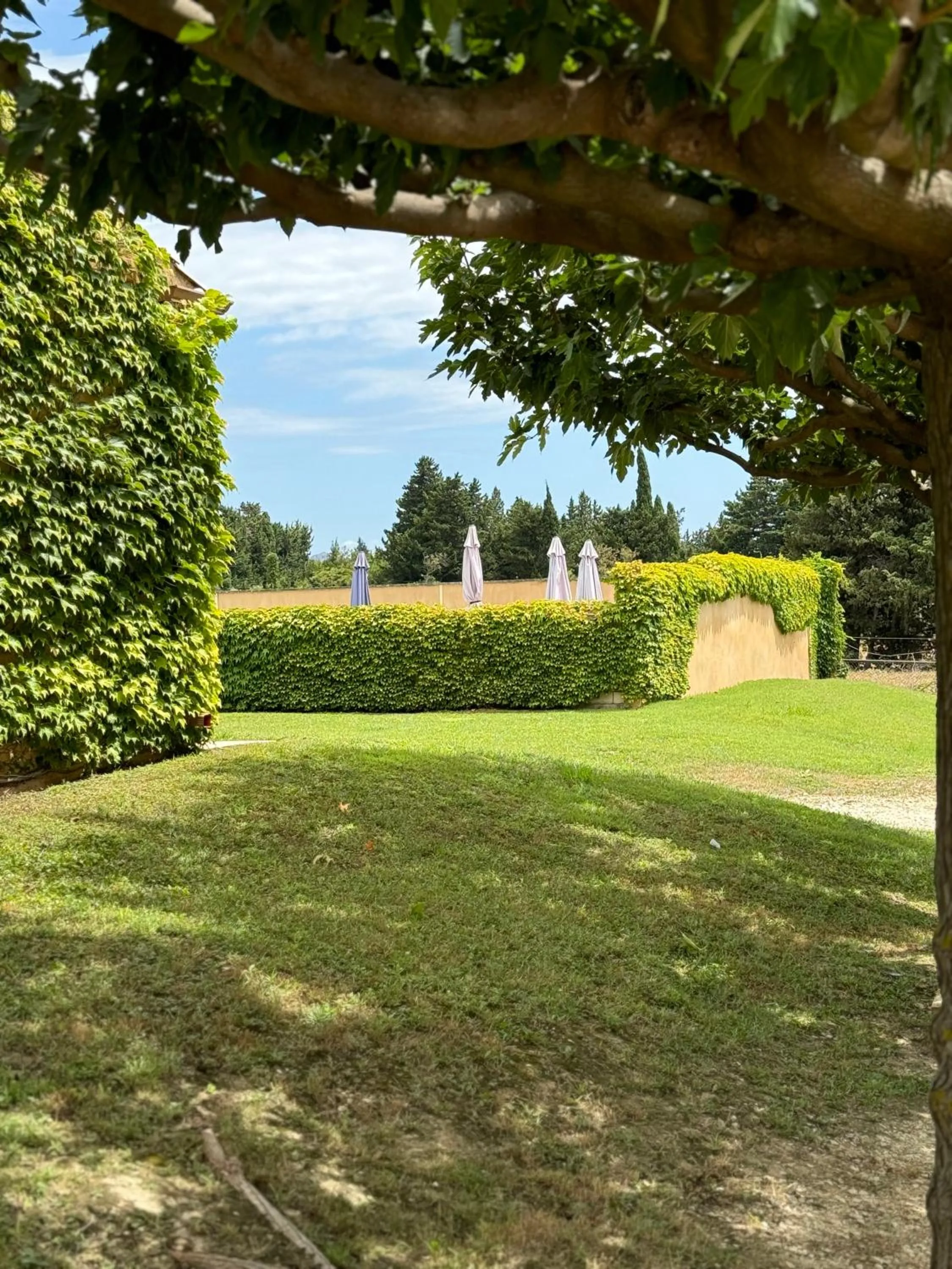 Landmark view in Hotel Terriciaë aux portes de Maussane les Alpilles