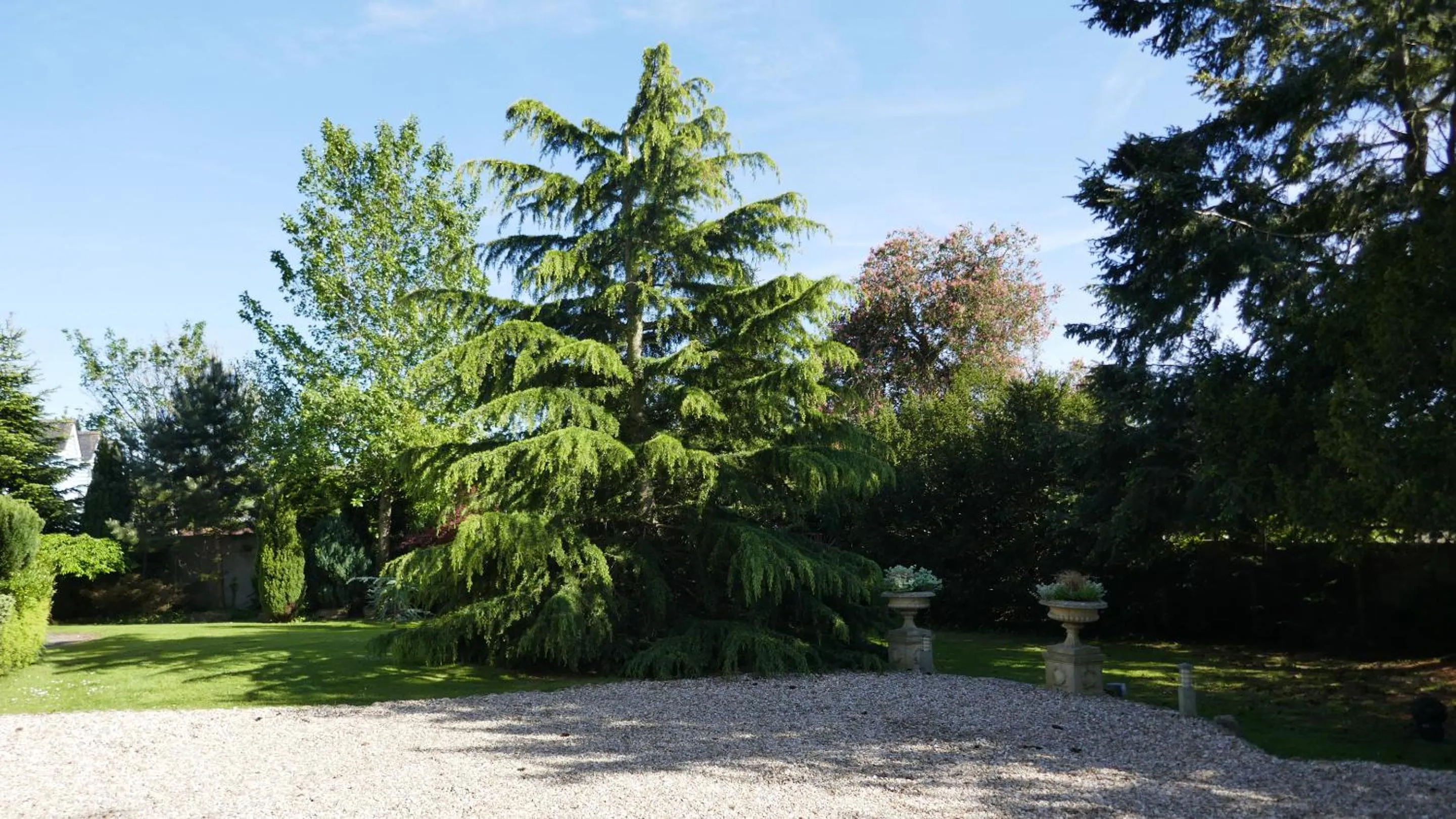Garden in Kerrington House