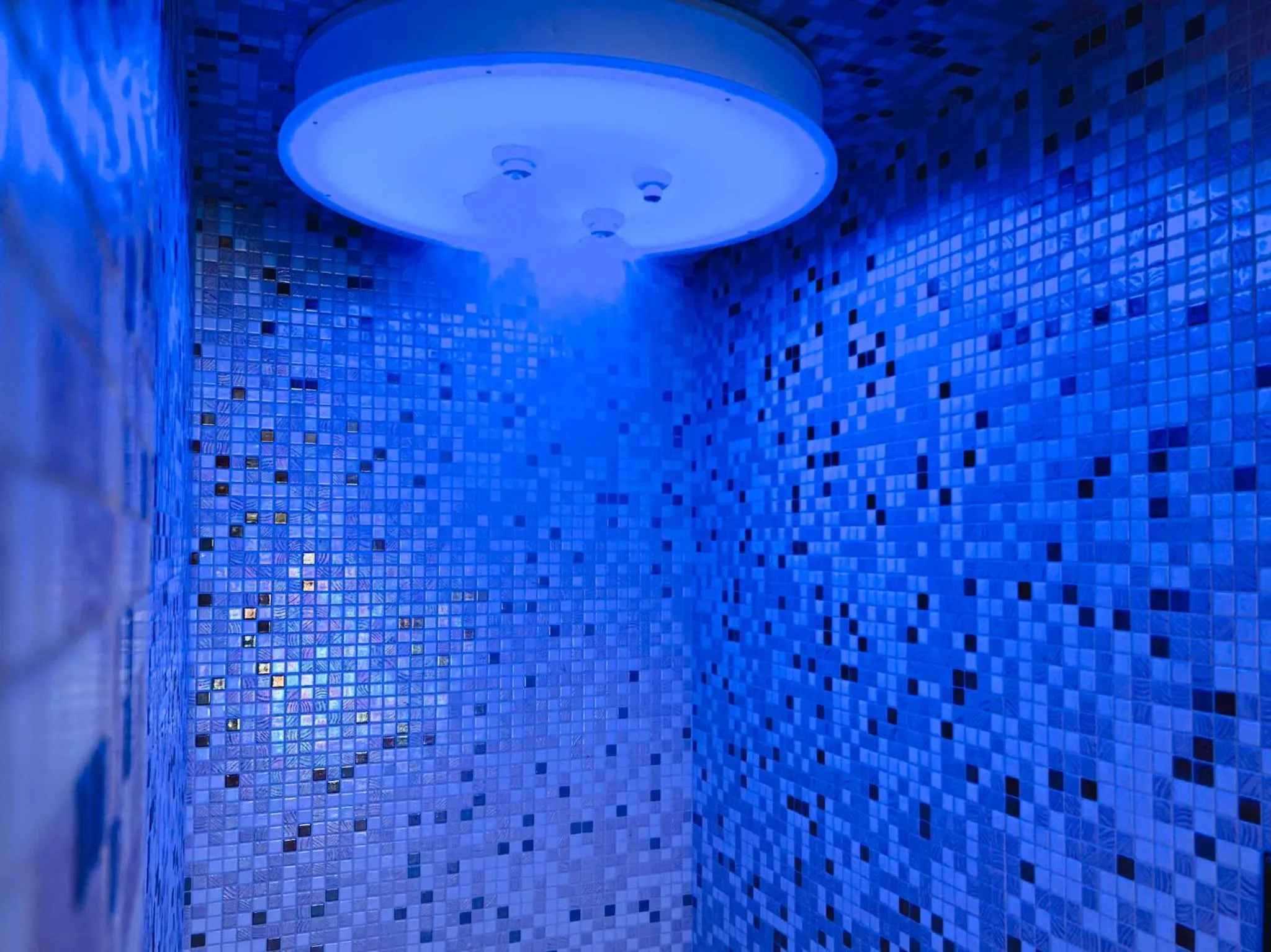 Shower in Relais et Châteaux Thalasso & Spa Ile de la Lagune