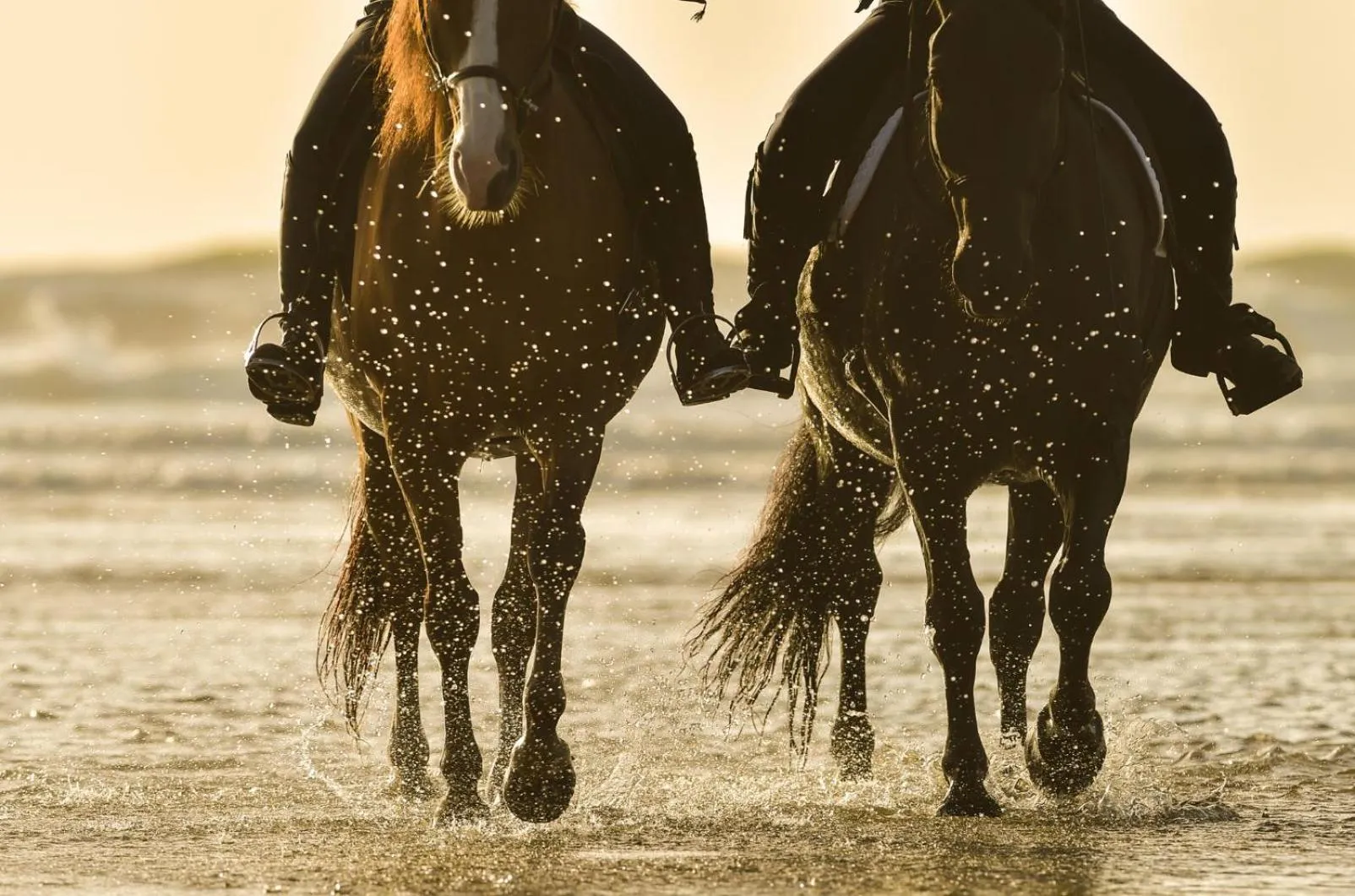 Nearby landmark in Evripus Suites