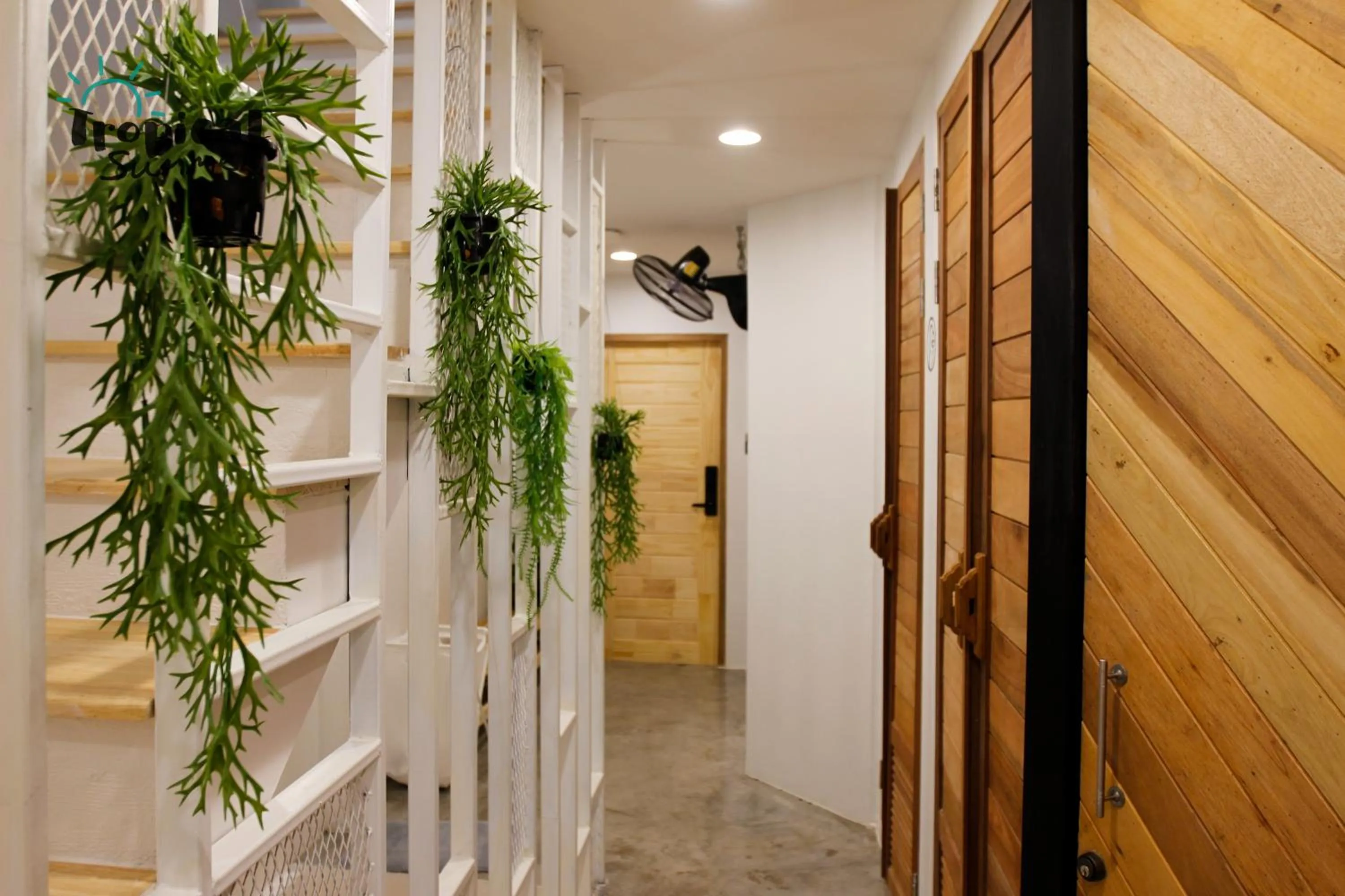 Property building in Tropical Summer Hostel