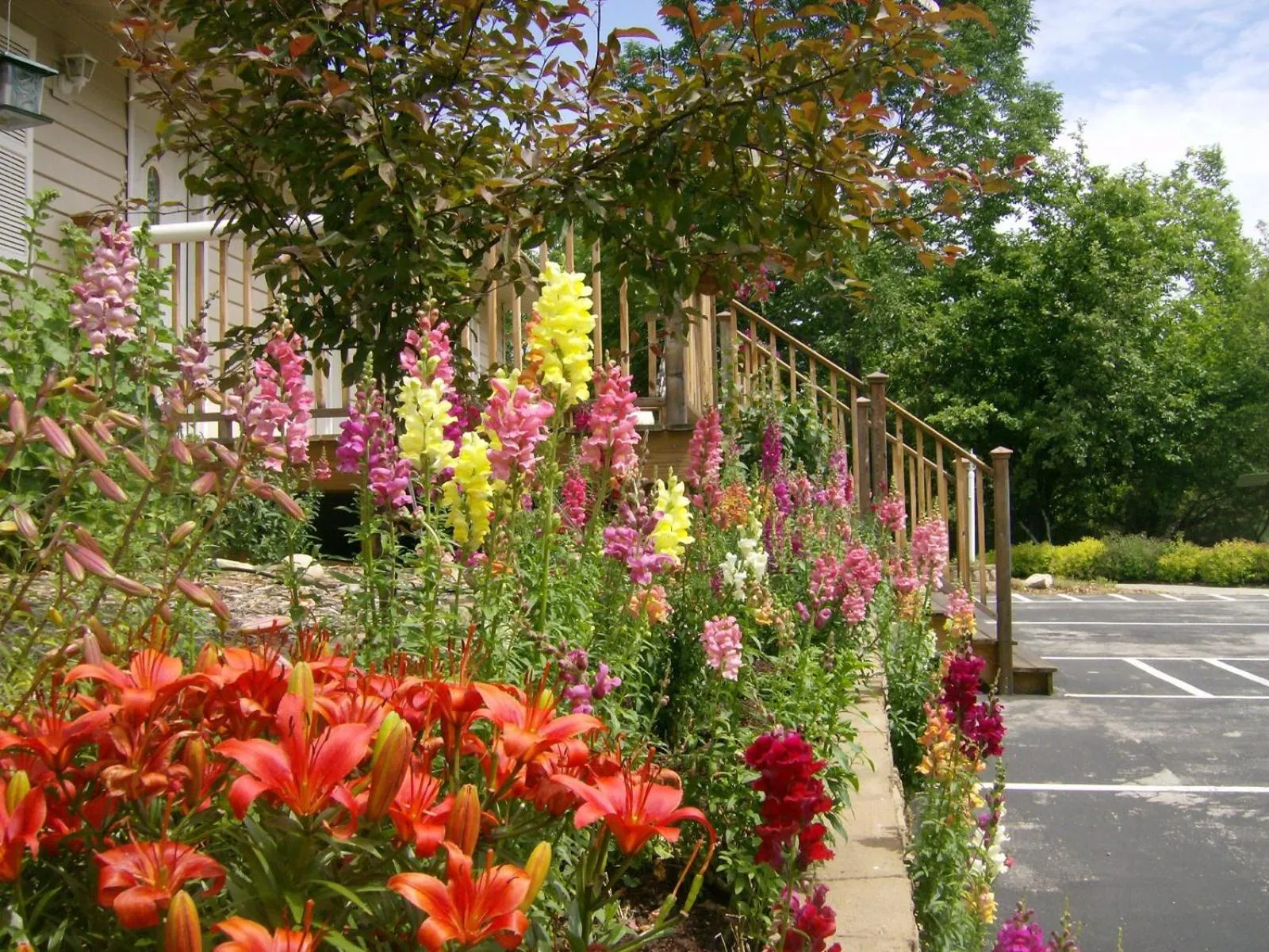 Spring in Ephraim Motel