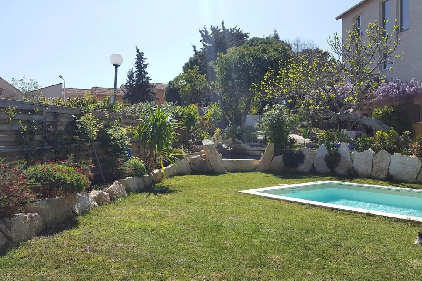 Garden in Villa LES FIGUIERS
