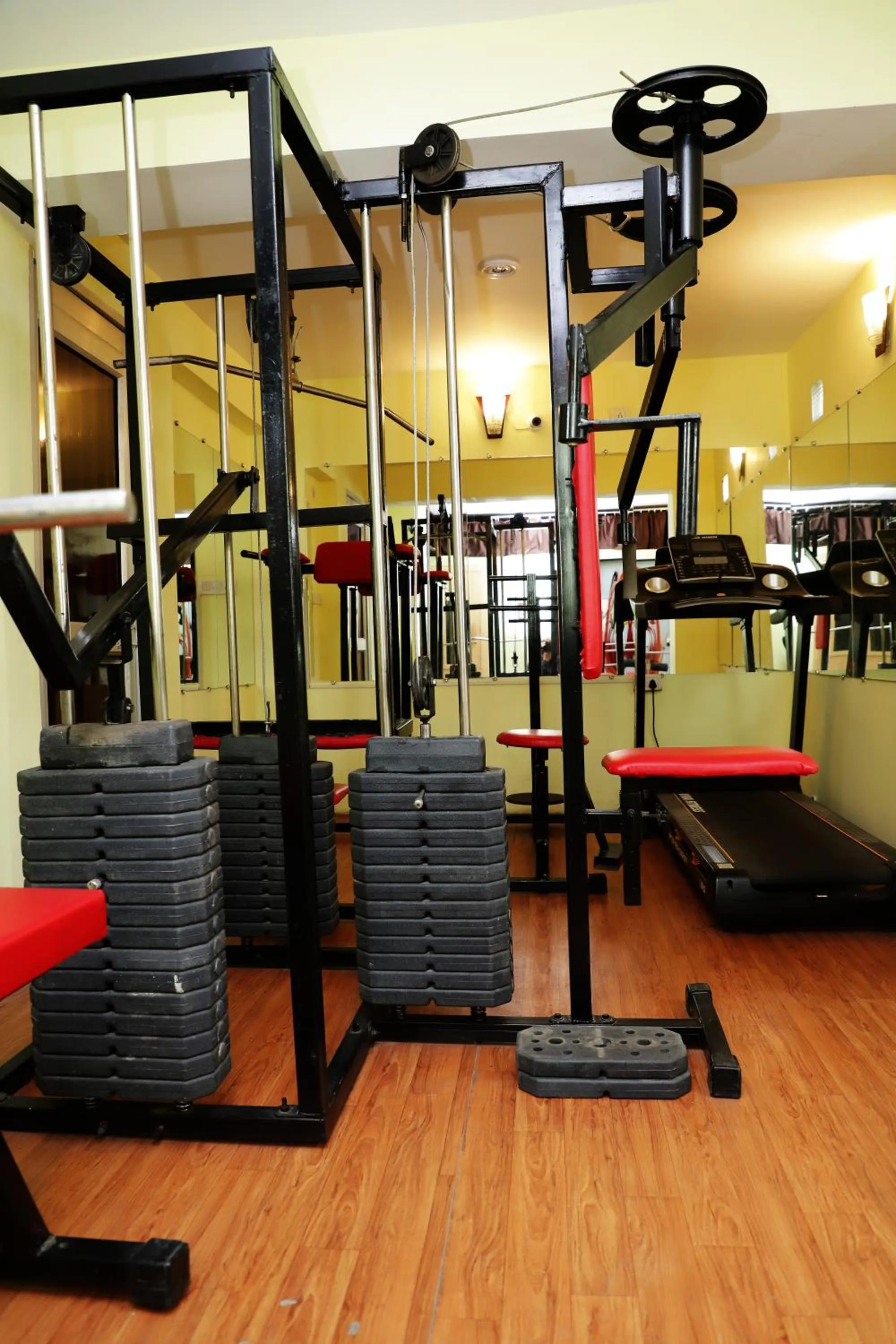 Fitness centre/facilities in Ganesha Palace