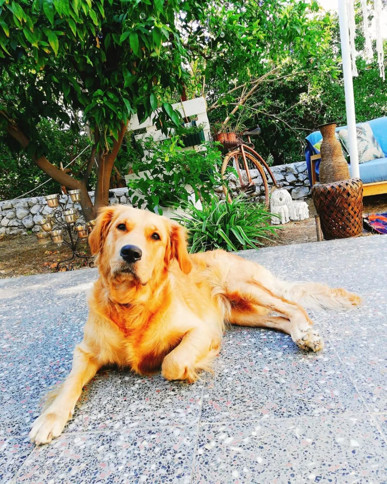 Garden in L'onda Oda Bodrum