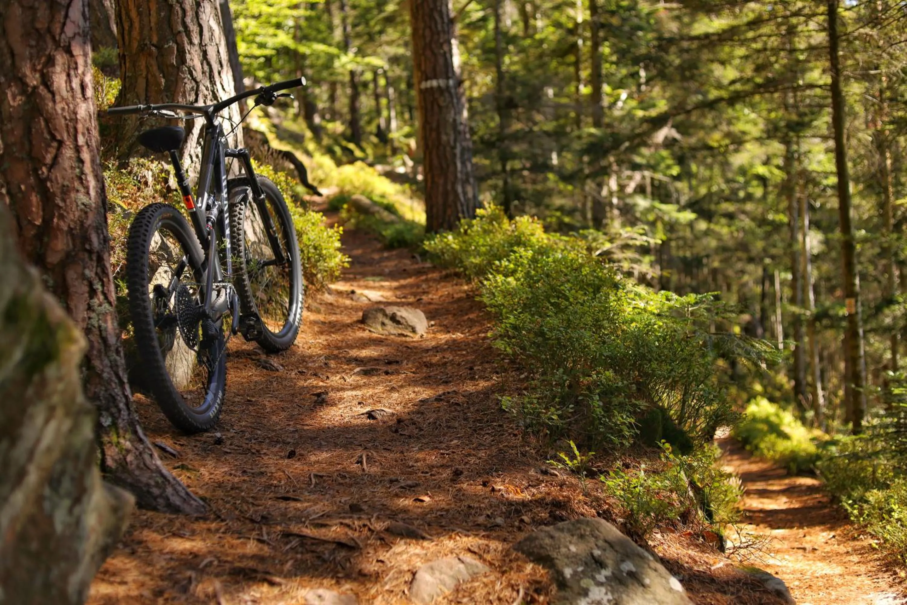 Off site in LE CLOS DES SOURCES Hôtel & Spa