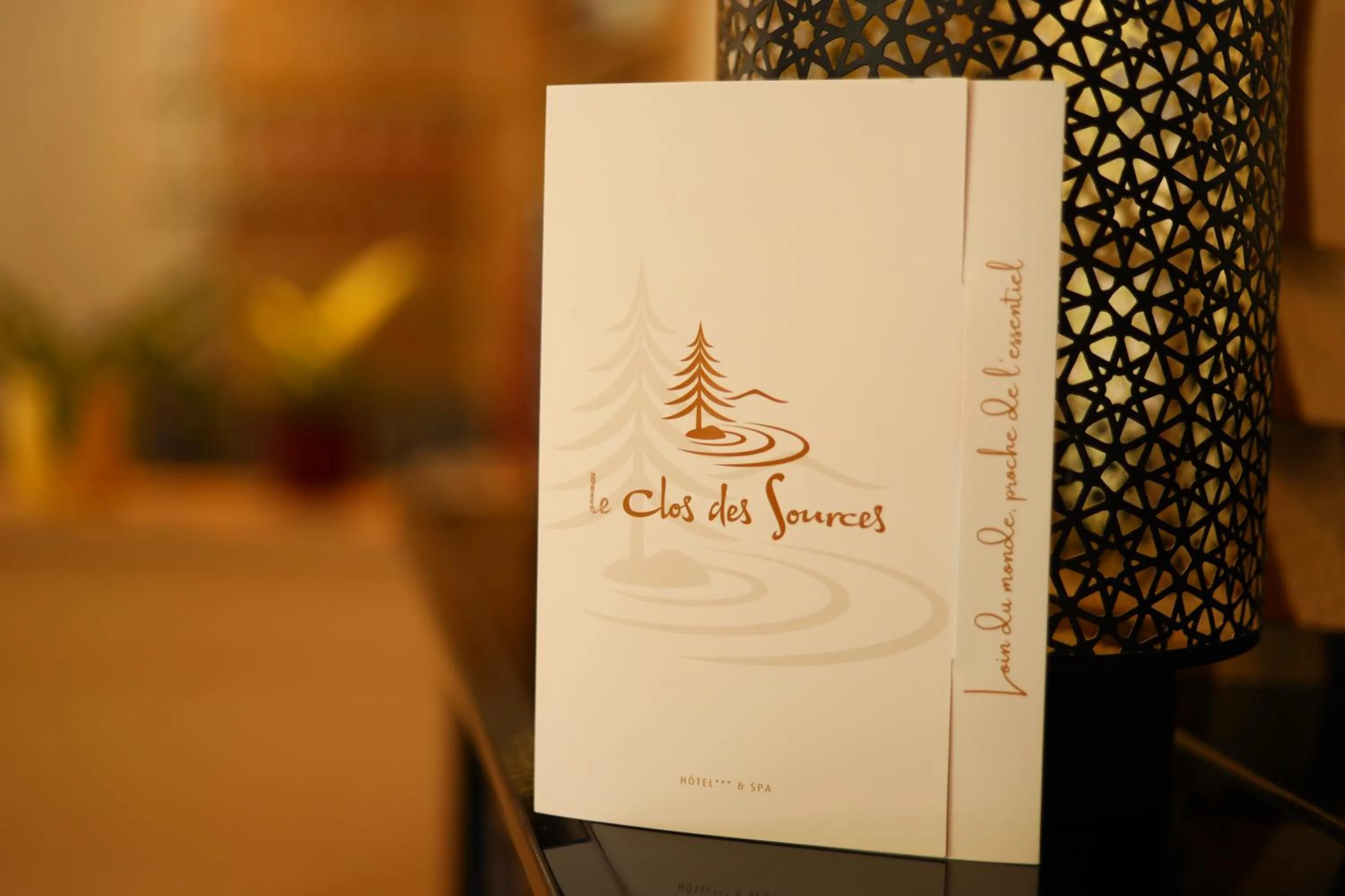 Decorative detail in LE CLOS DES SOURCES Hôtel & Spa