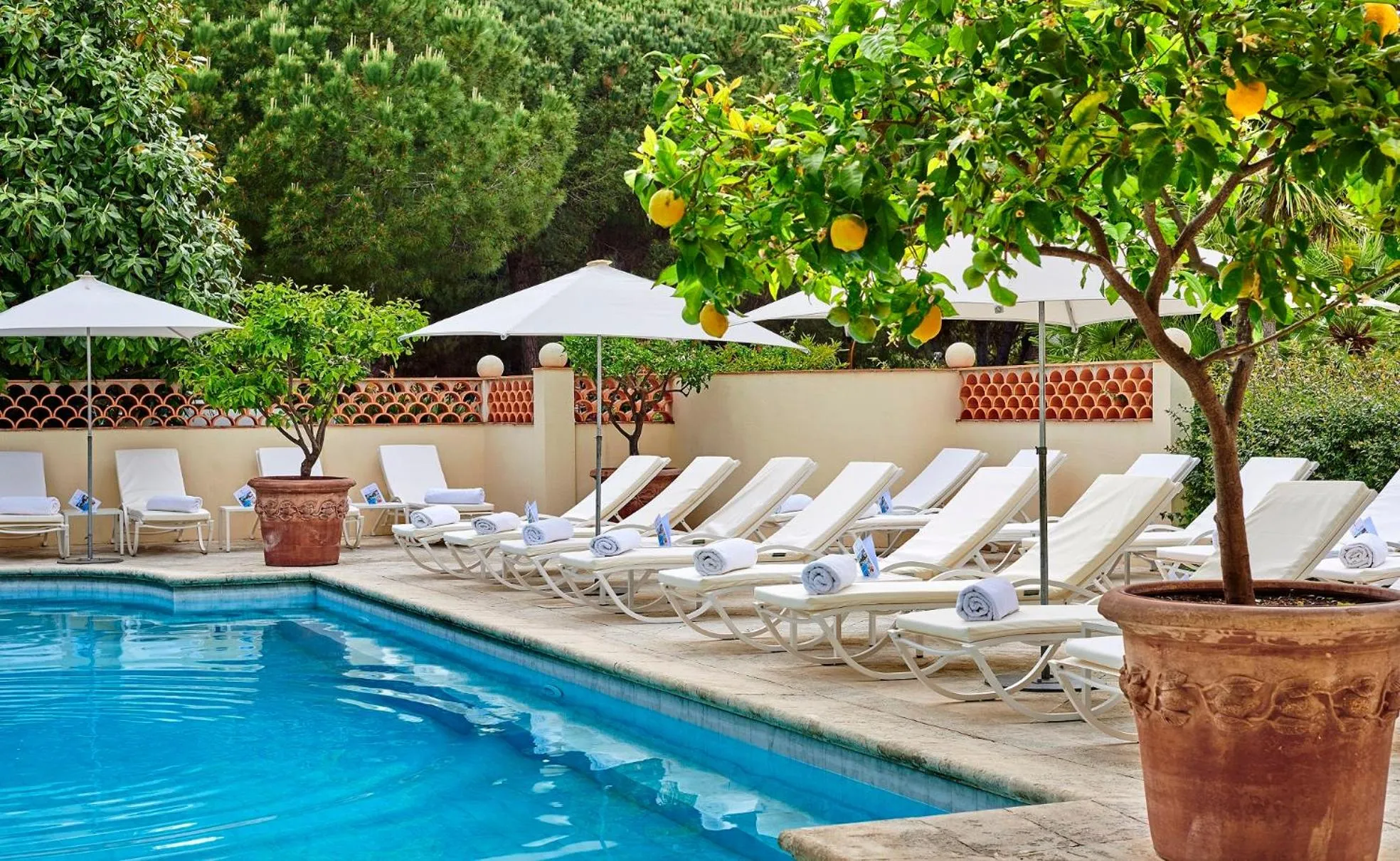 Swimming pool in Hôtel Juana