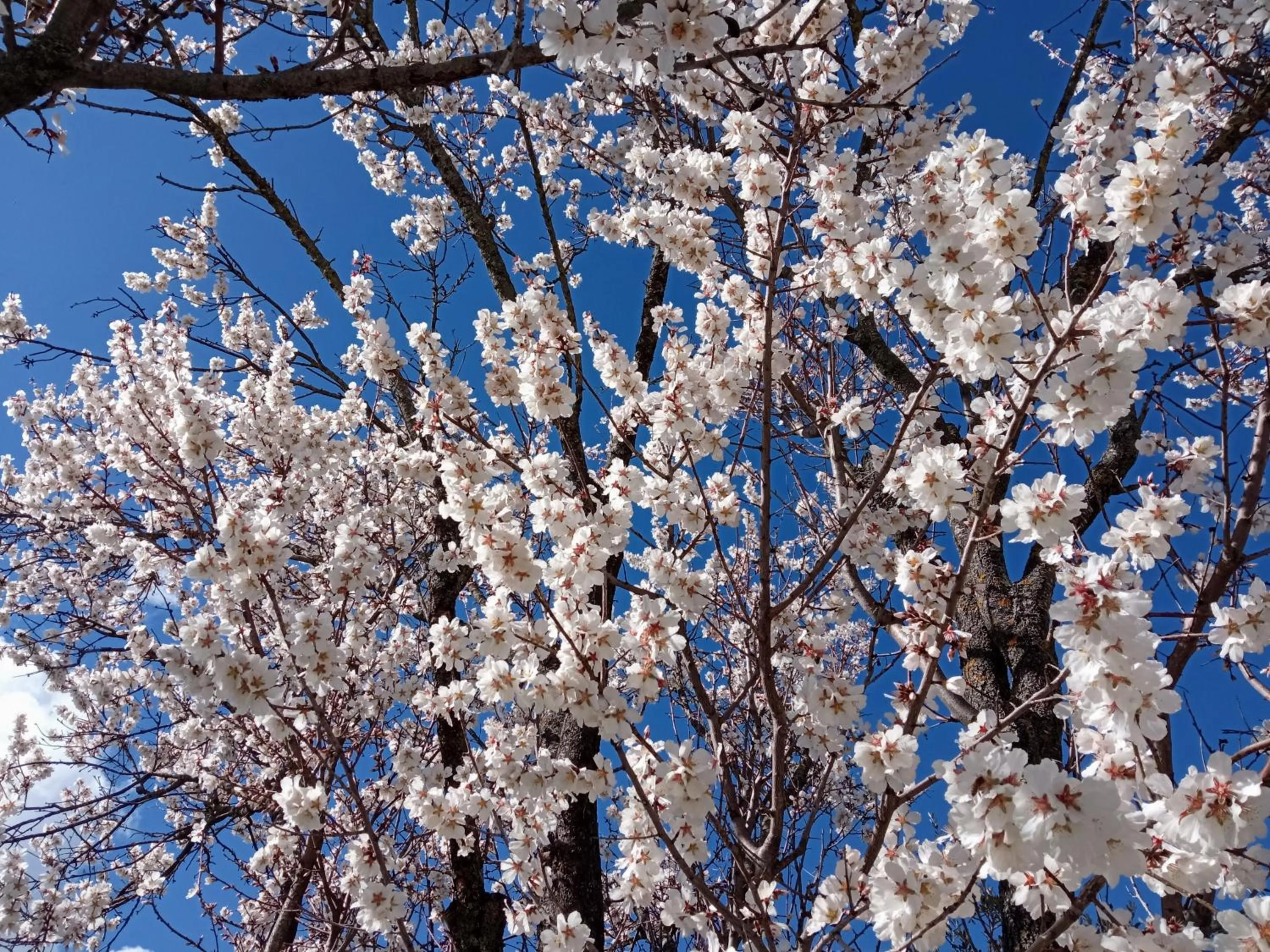 Natural landscape in Frontemaja