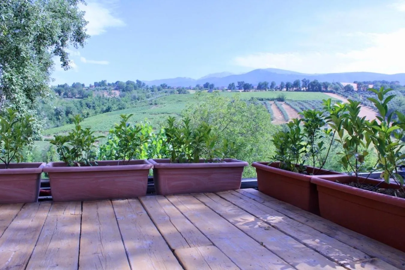 Balcony/Terrace in Frontemaja