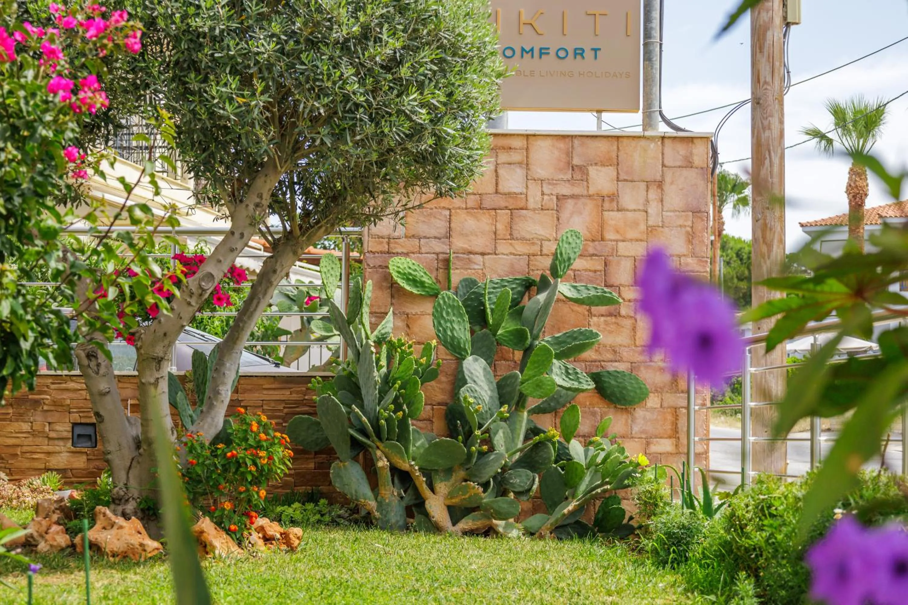 Garden in Nikiti Comfort