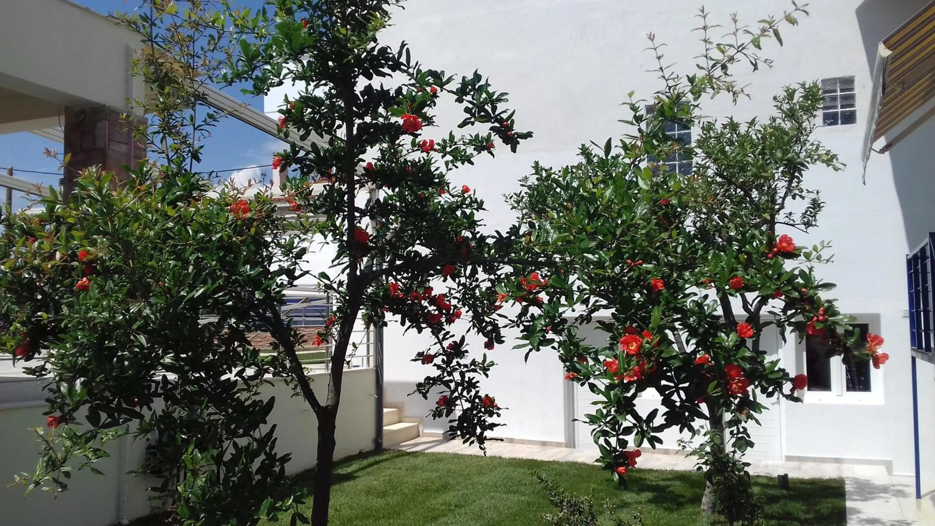 Property building in Nikiti Comfort