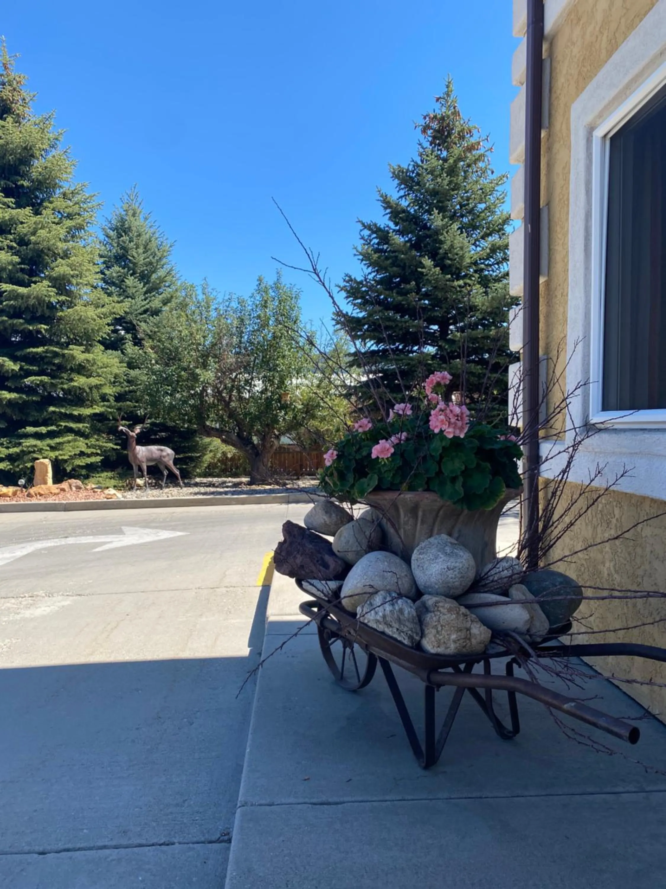 Day in Browns Canyon Inn