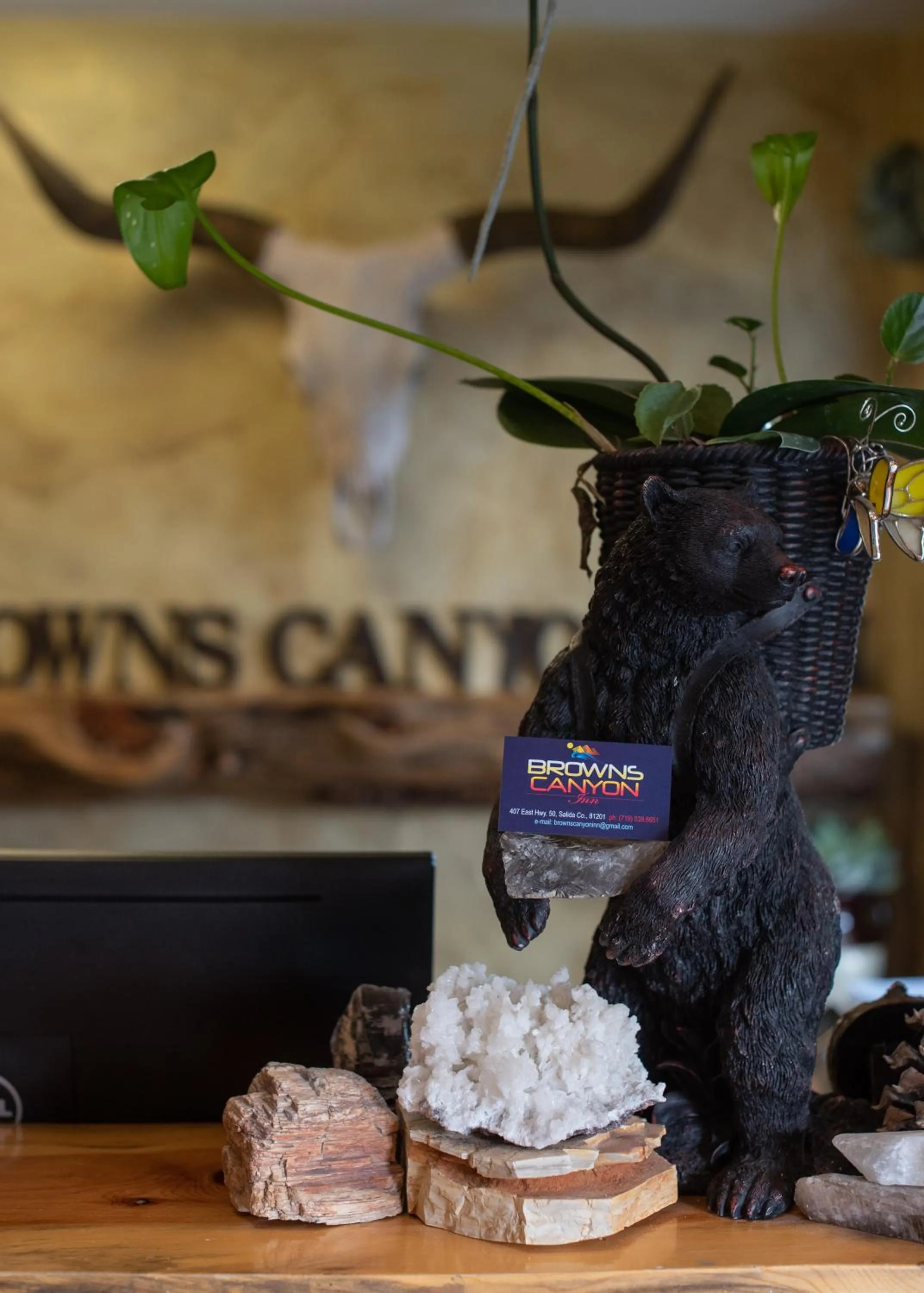 Lobby or reception in Browns Canyon Inn