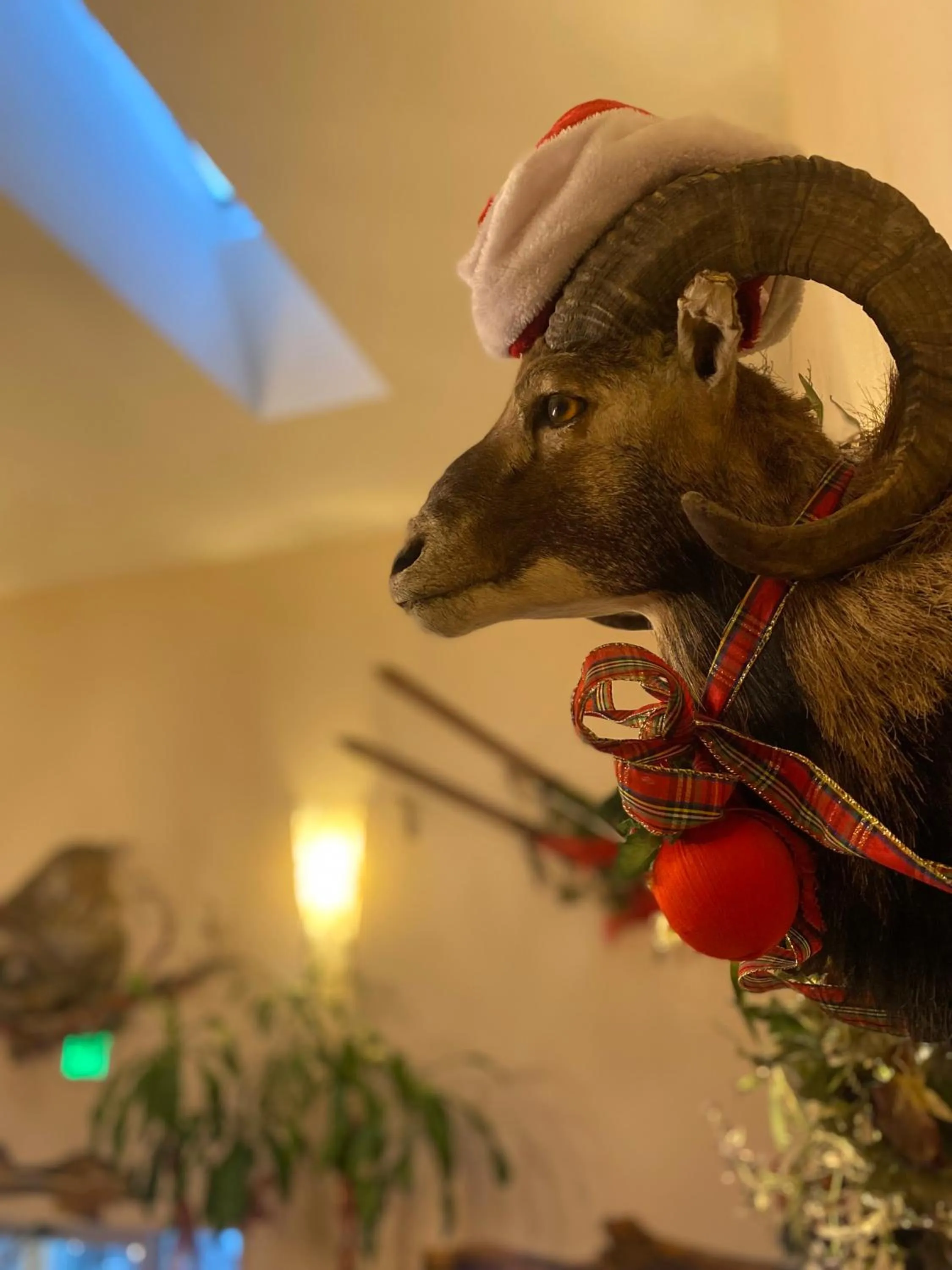 Decorative detail in Browns Canyon Inn