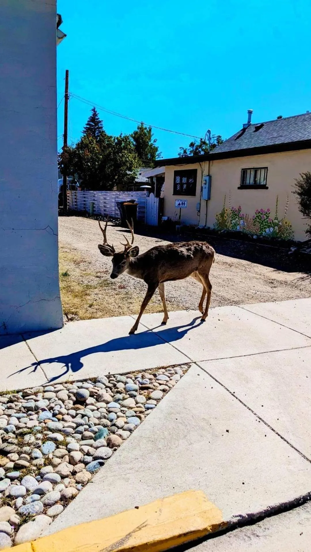 Other in Browns Canyon Inn