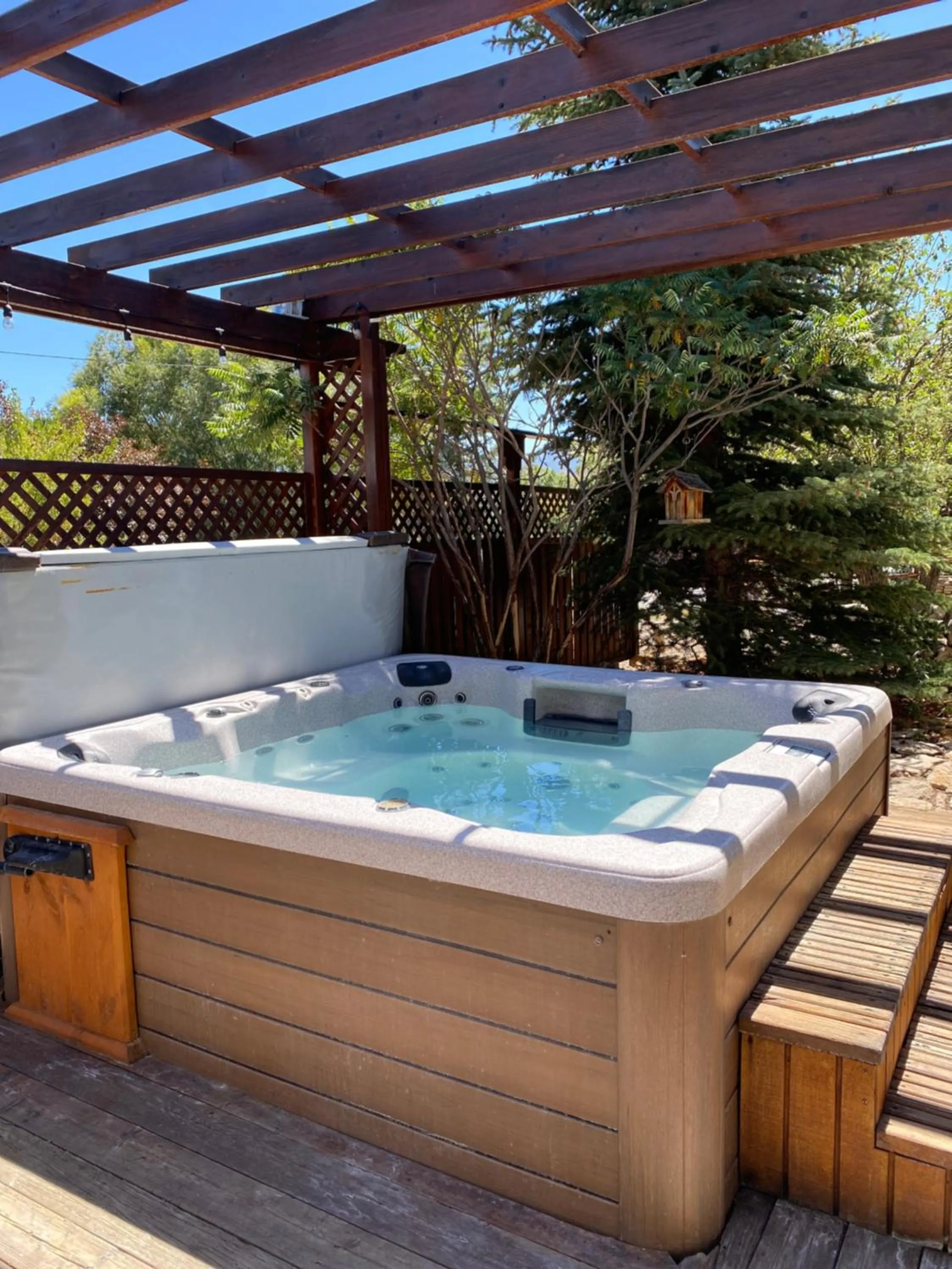 Hot Tub in Browns Canyon Inn