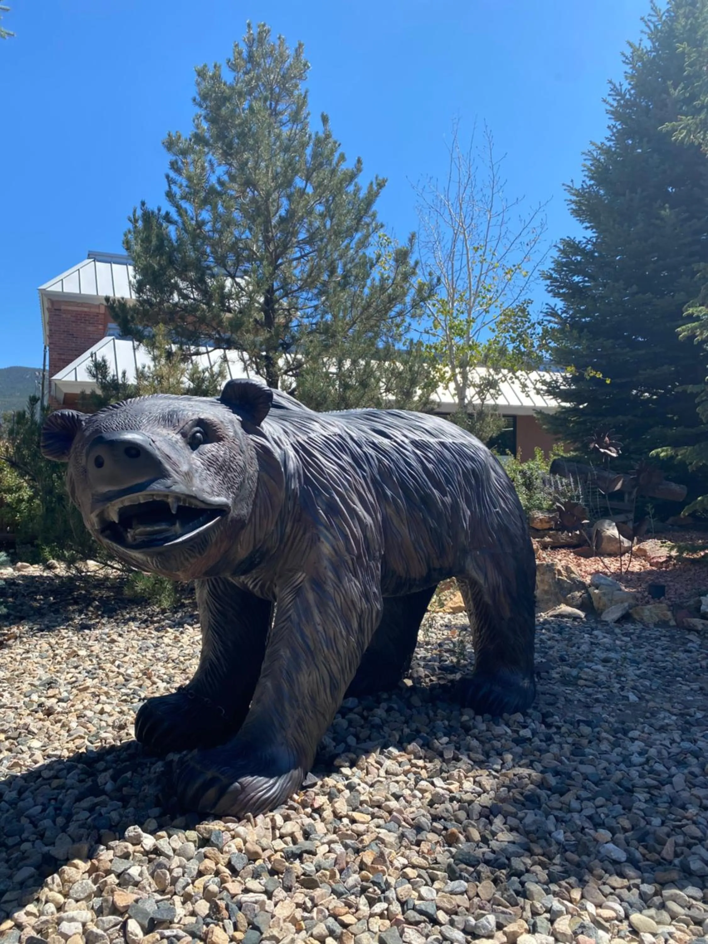 Property building in Browns Canyon Inn