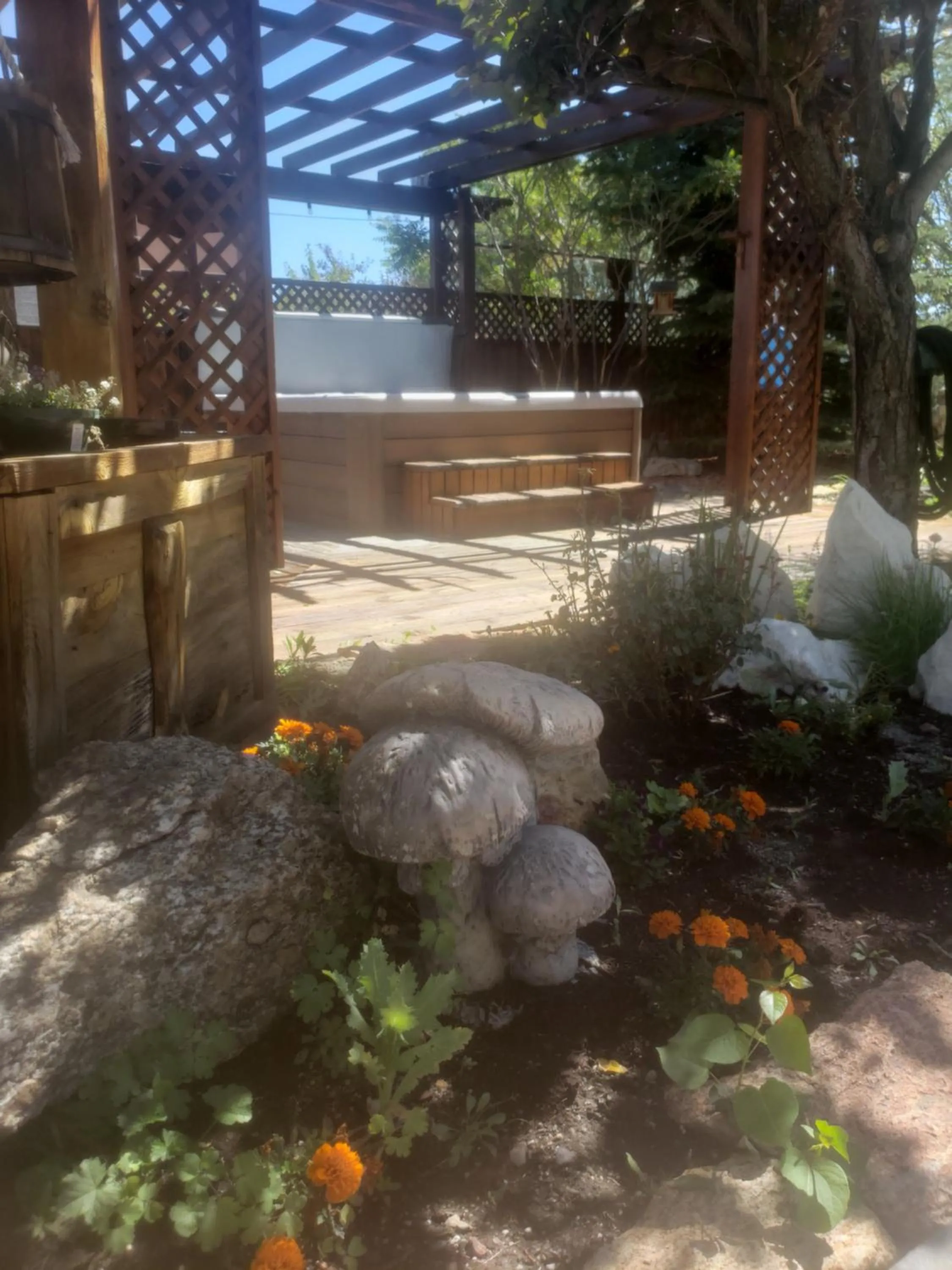 Garden in Browns Canyon Inn