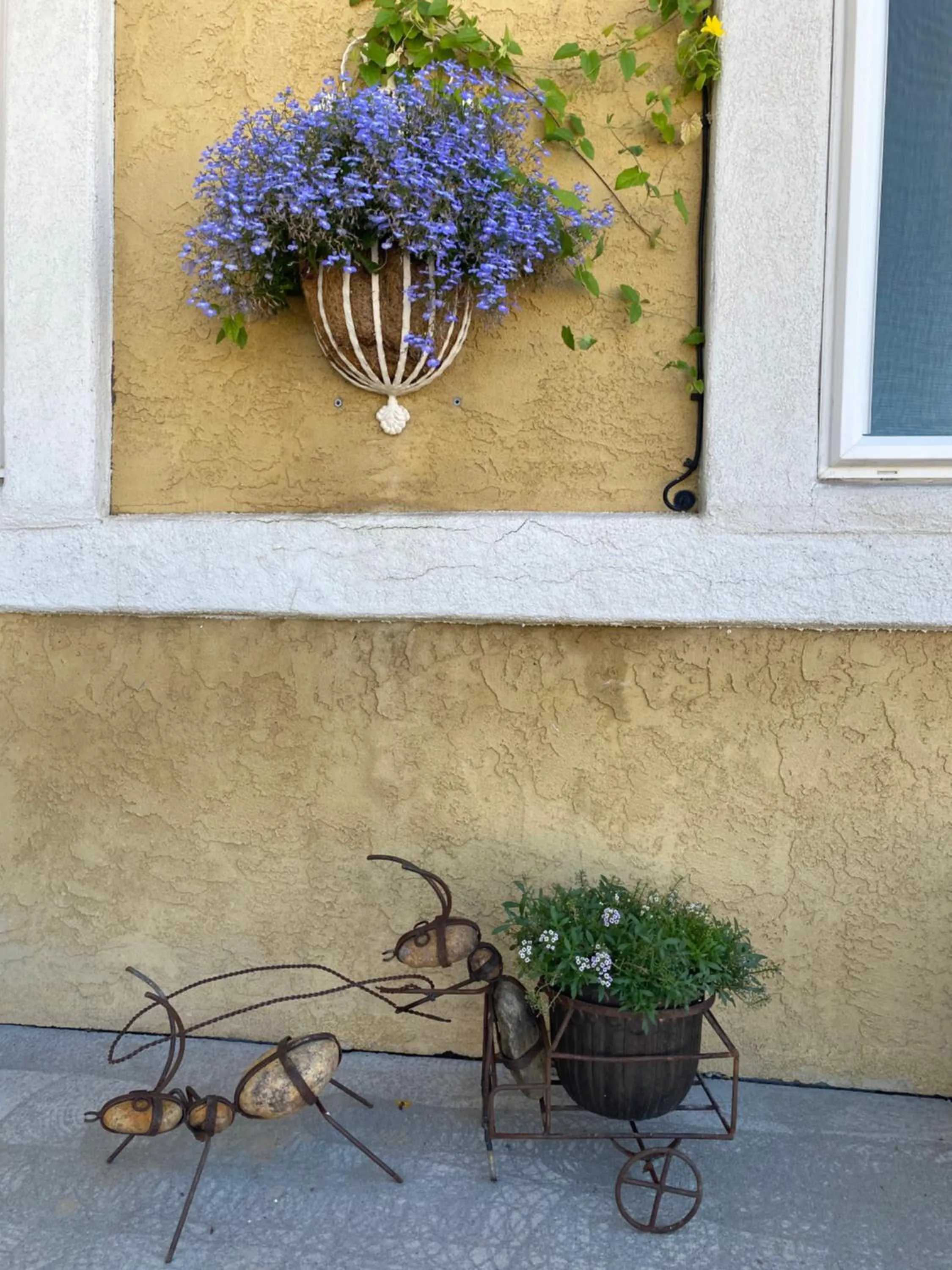 Garden in Browns Canyon Inn