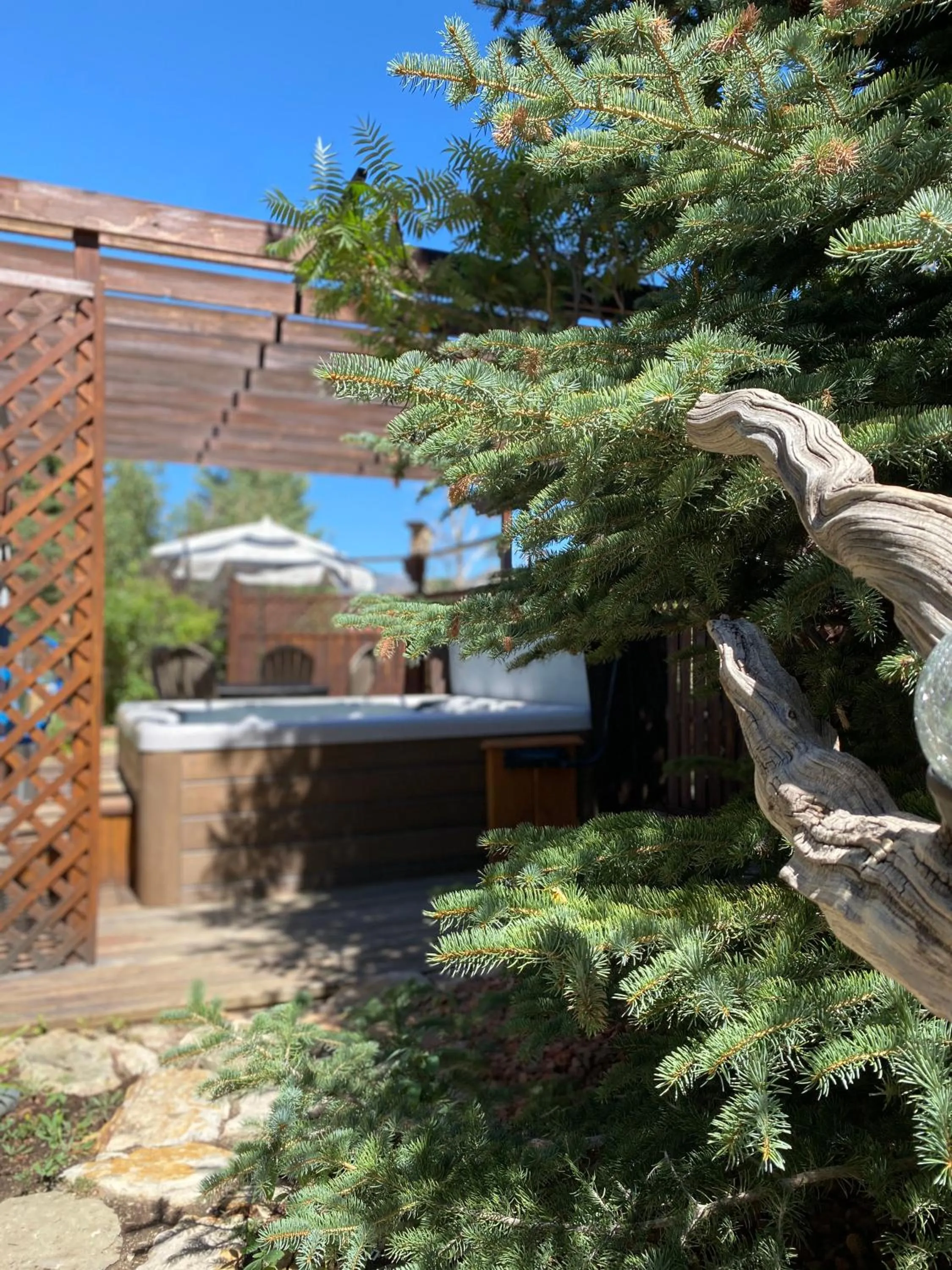 Hot Tub in Browns Canyon Inn