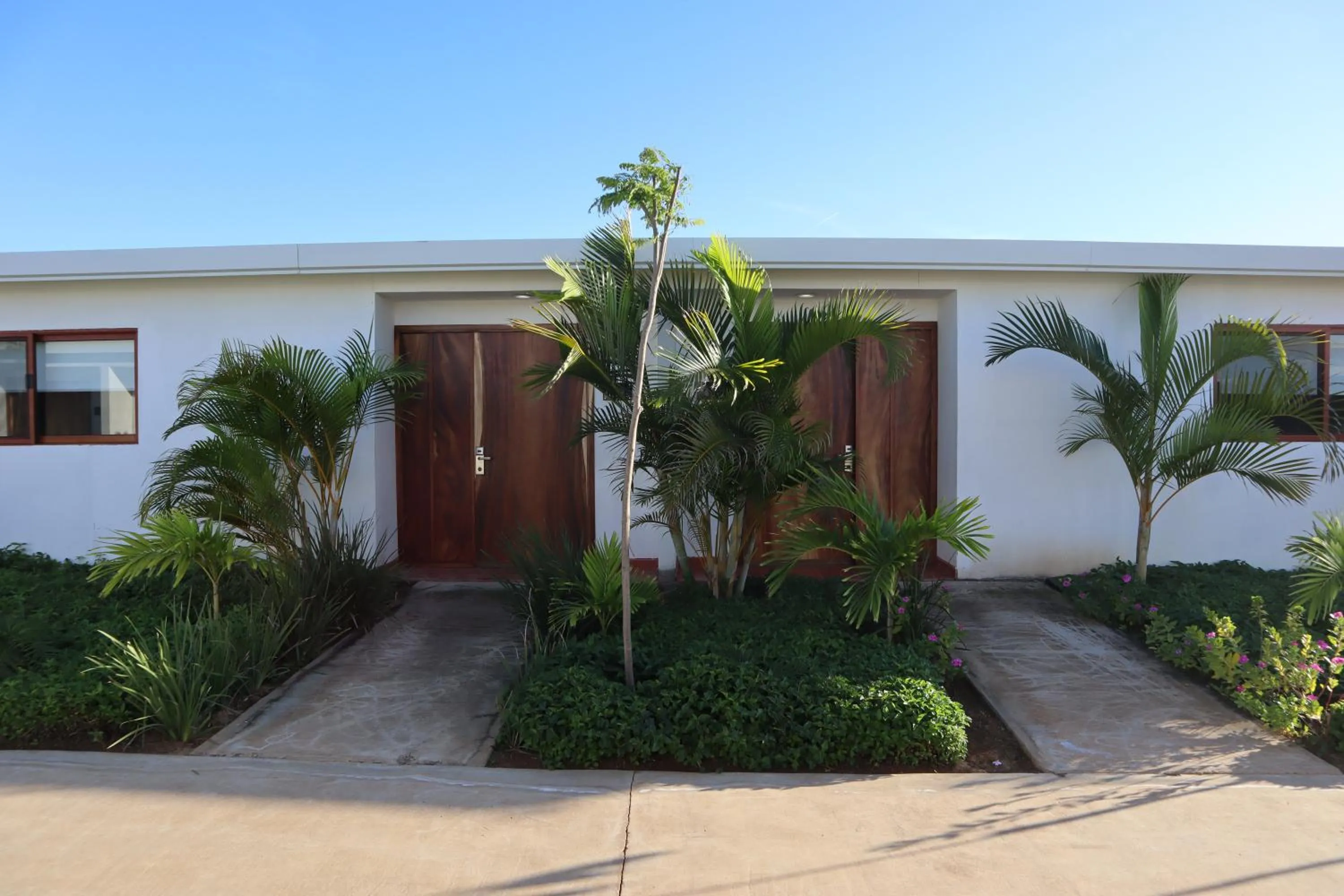Garden view in Playa Esperanza Resort